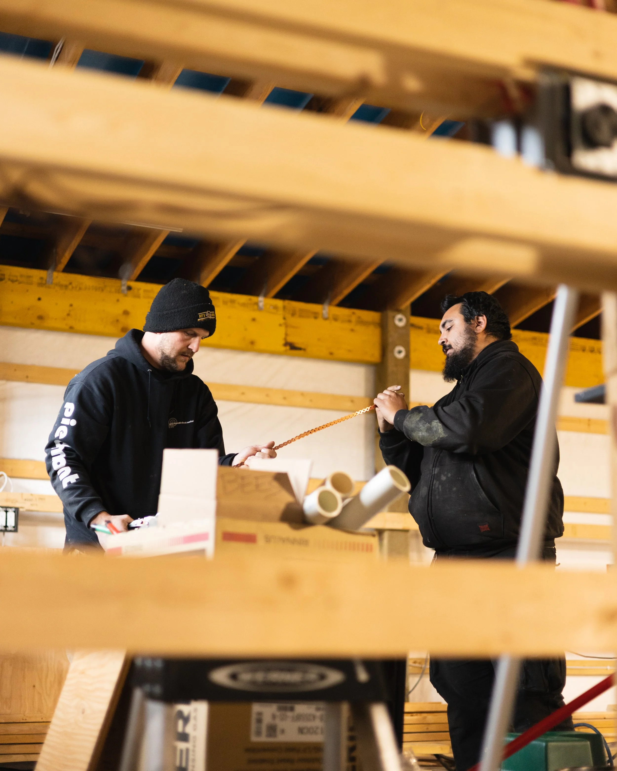 Bees-Knees-1st shoot MCXI Media-1.JPG