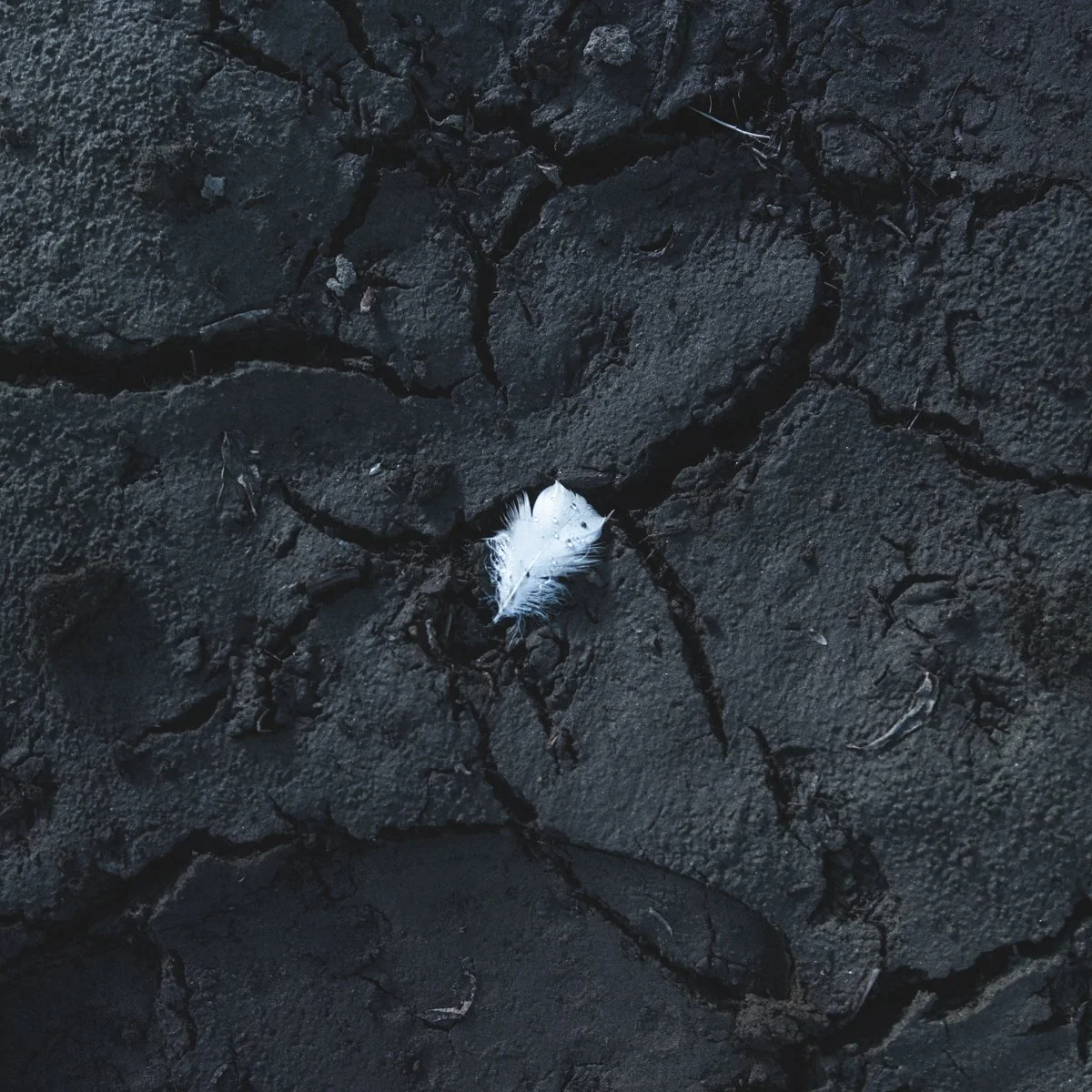 sugar lake insta crop 1-5.JPG