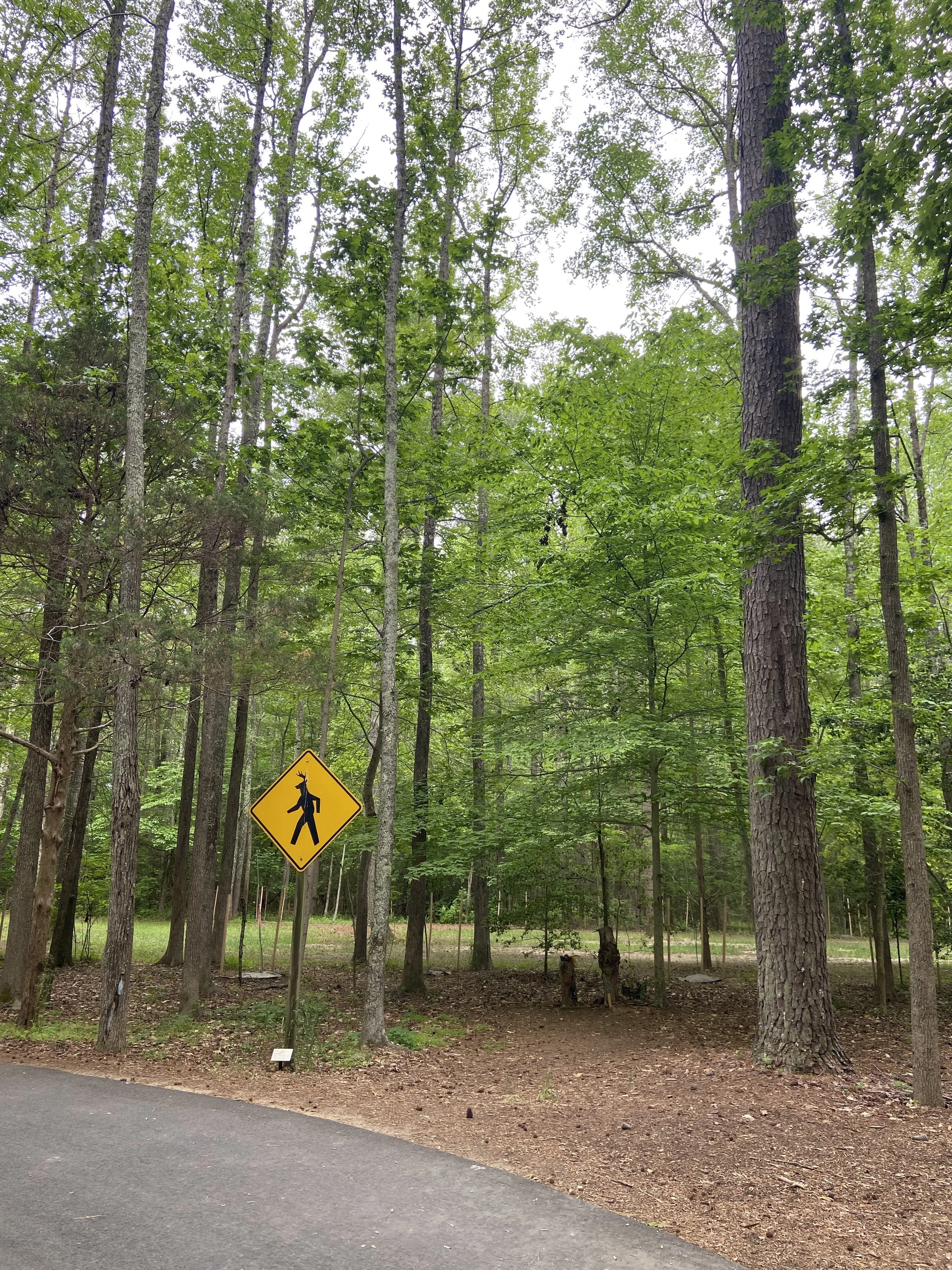 Walking around the grounds