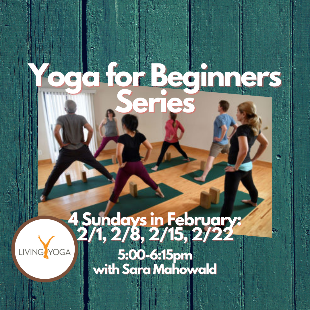 Yoga for Beginners Series at Living Yoga