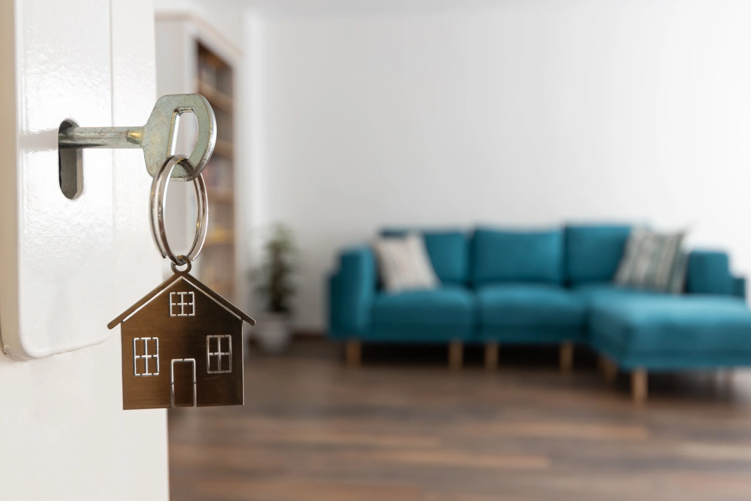 Renting and the law