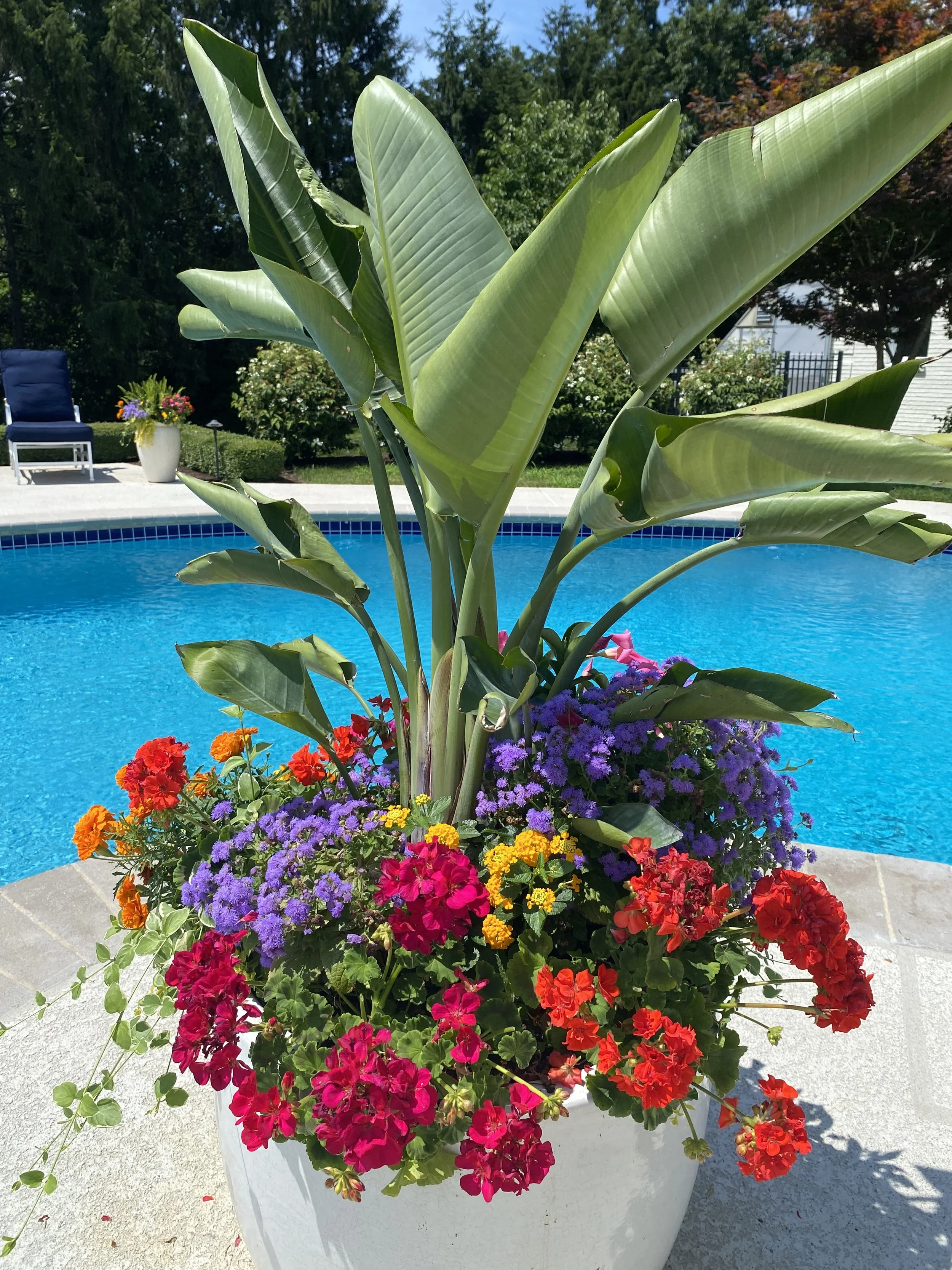 Residential Properties