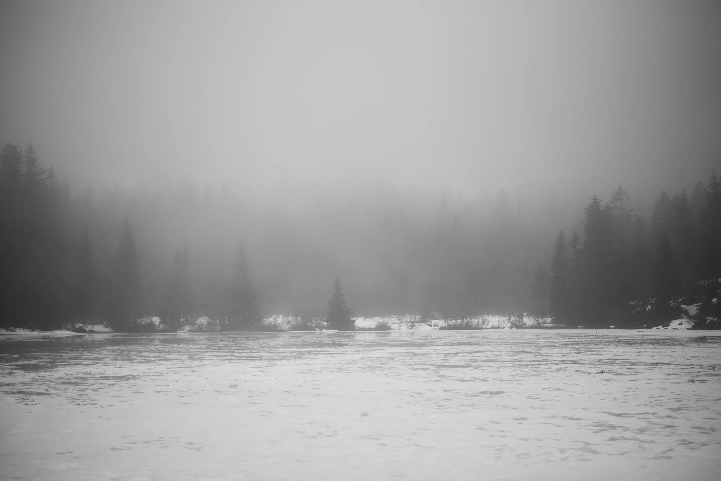 S75_1173.jpg