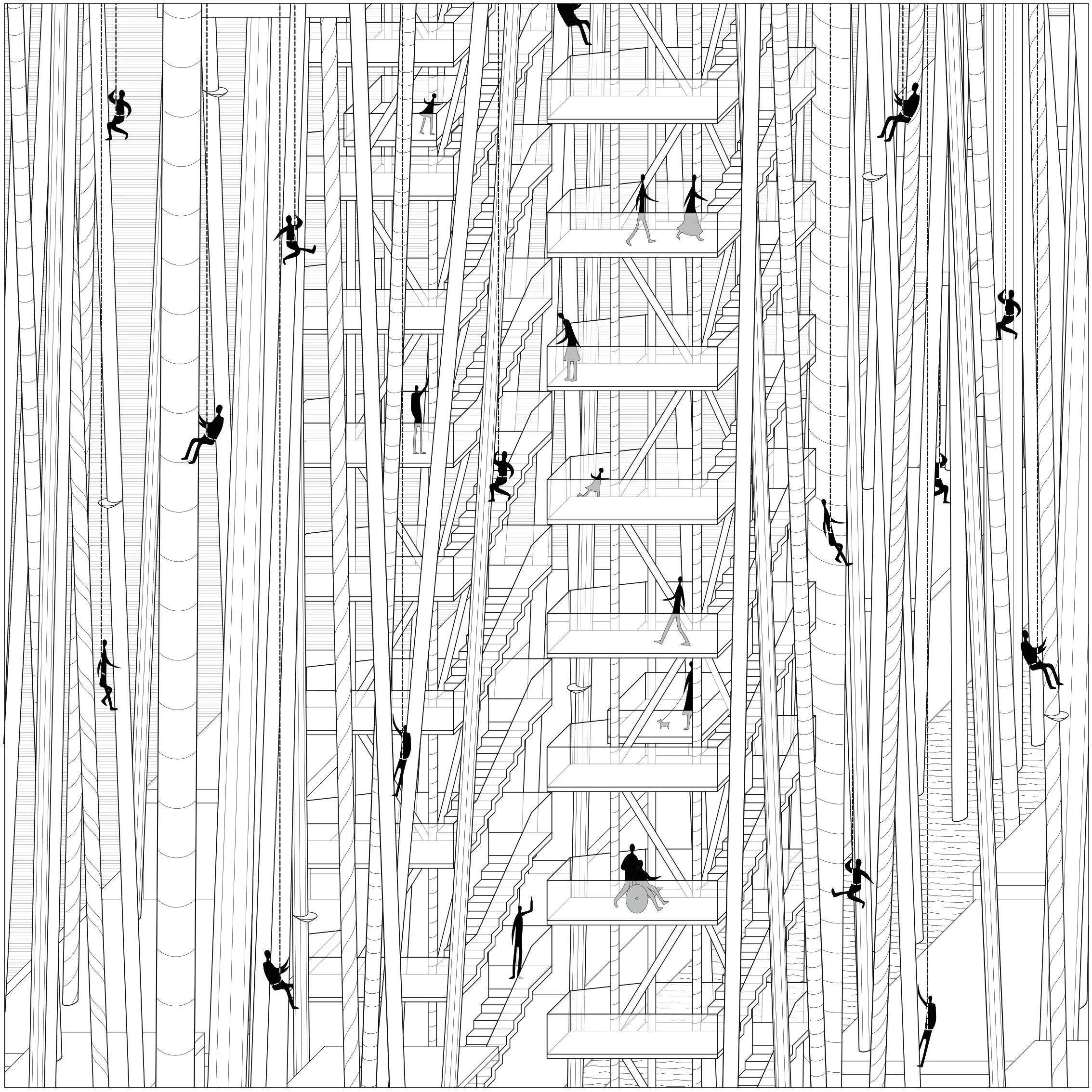 Stairs and elevators provide access to the canopy, but rappelling is a more fun way to get down to ground level.