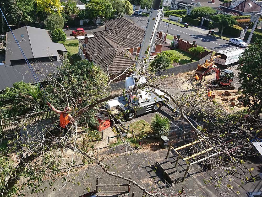 Bayfield+School+Crane+Work.jpeg
