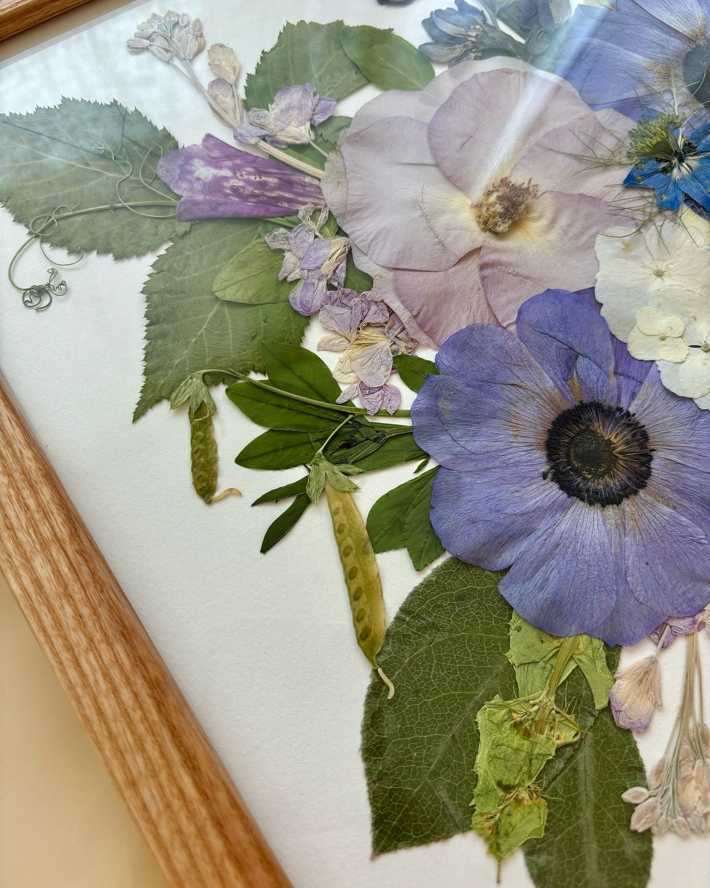 A moment for this bouquet. The detail of adding snap pea pods to the bouquet was like adding little charms🥹🫛💜 

#michiganwedding #flowerpreservation #pressedflowers #weddinginspo