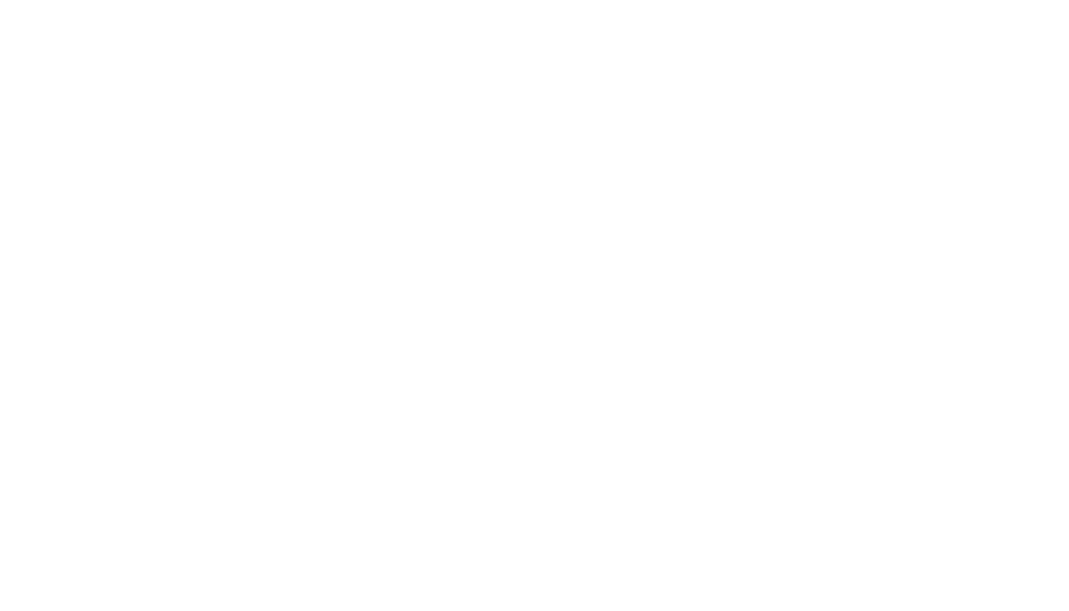 LIBERATION RISING