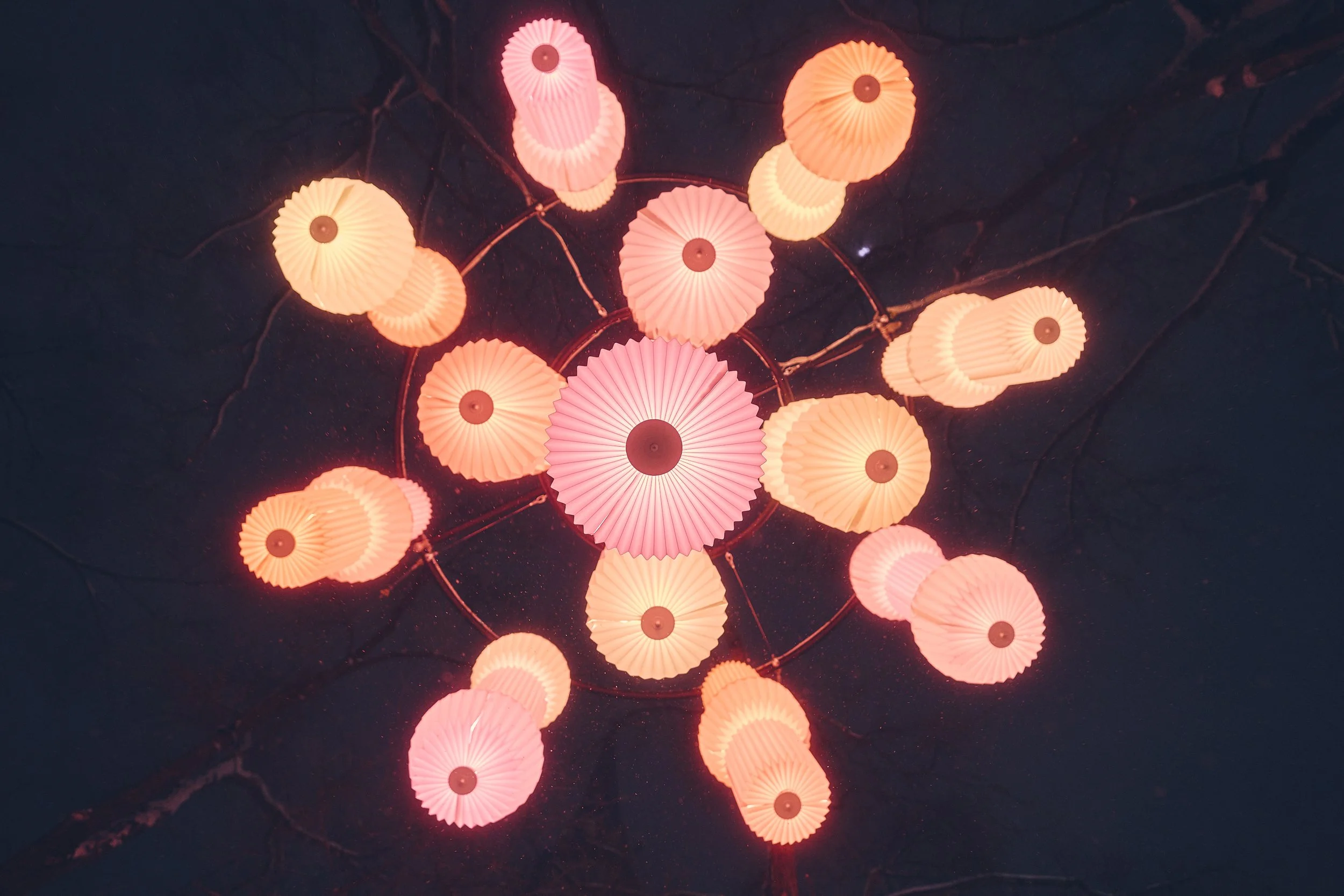 Phosphorescence - Festival Lumino