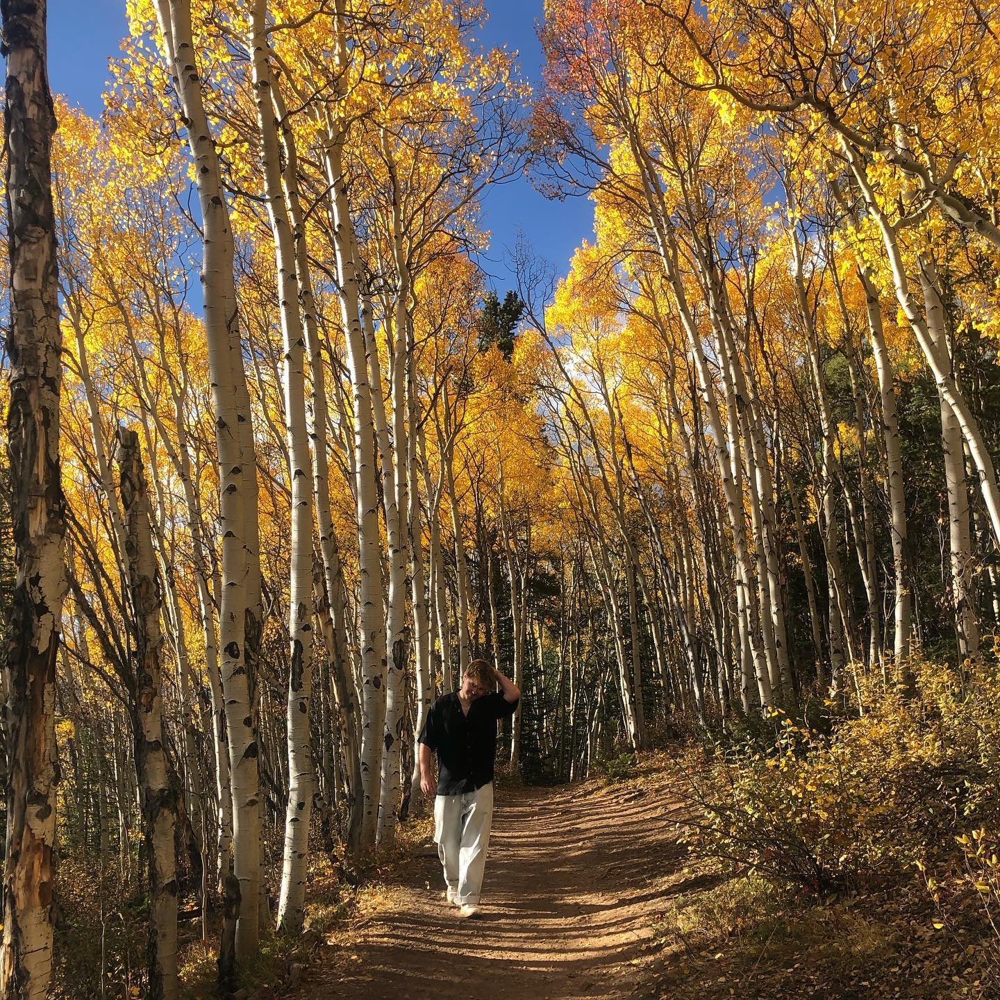 Hike + Lorcana + bowling = good weekend