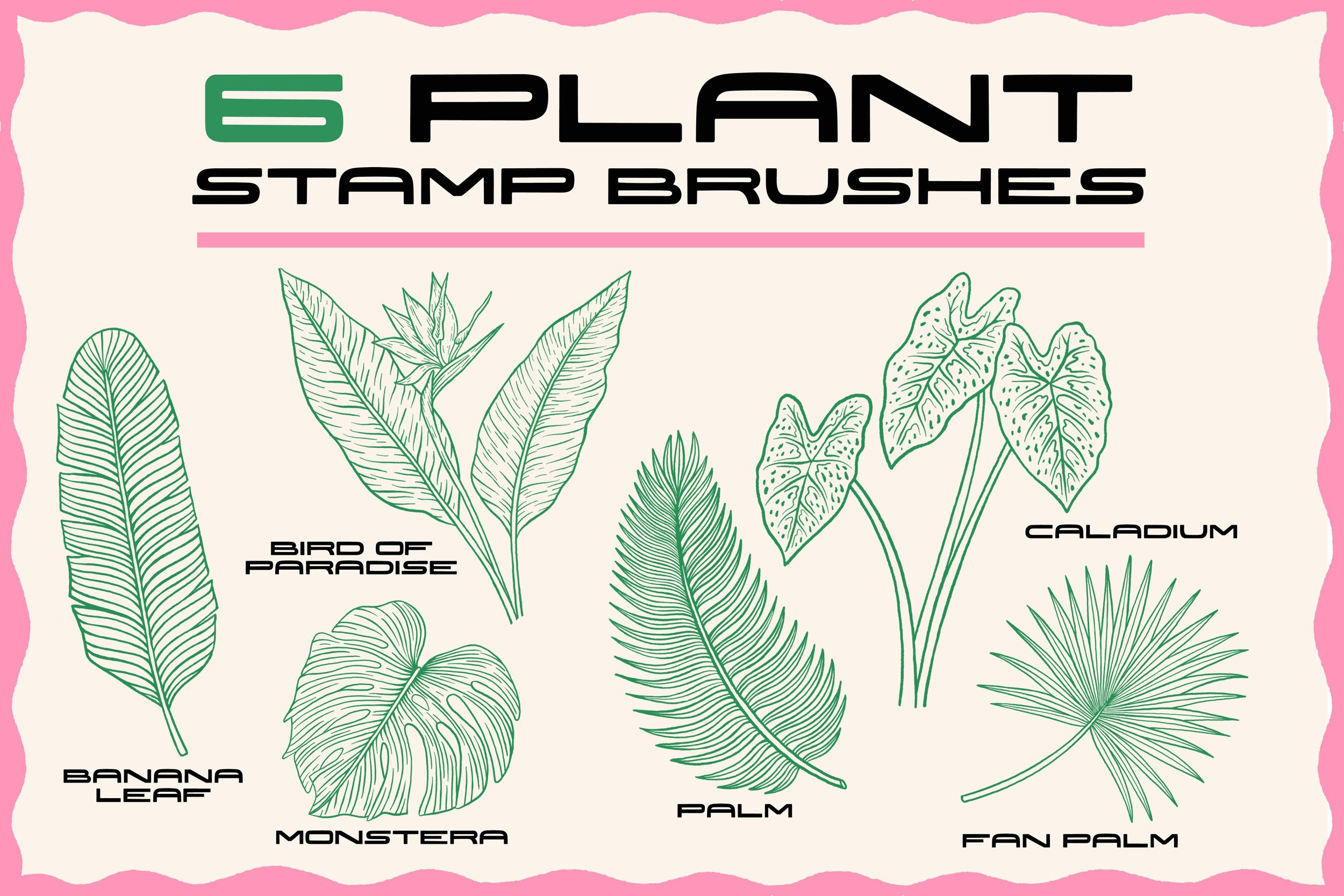 3_Stamps_Plants_01.jpg