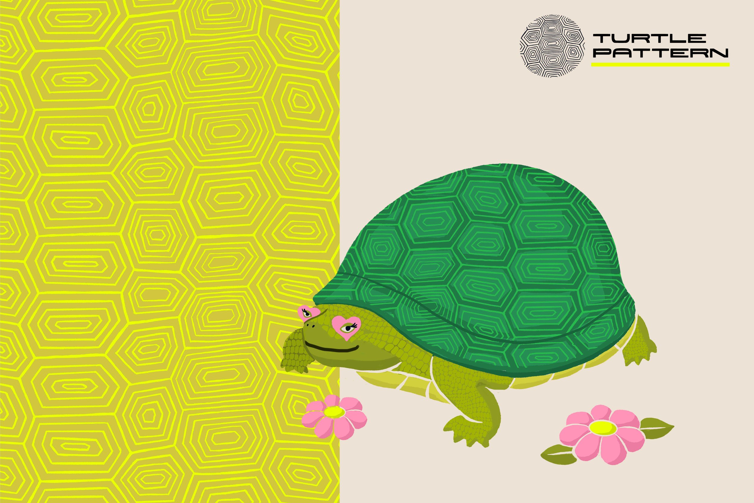 14_Pattern_Turtle_01.jpg