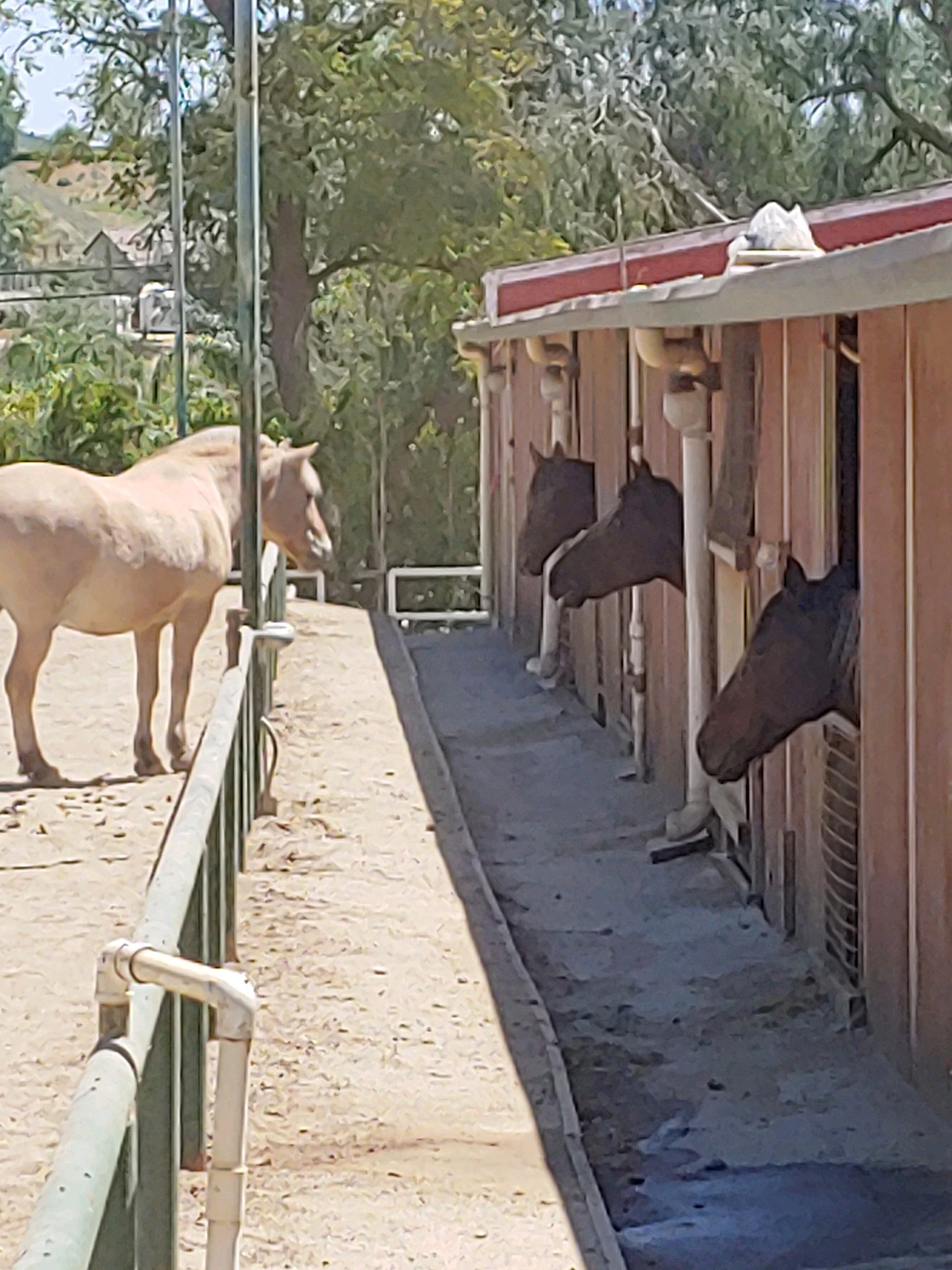 Boarding — Monteverde Equestrian Center