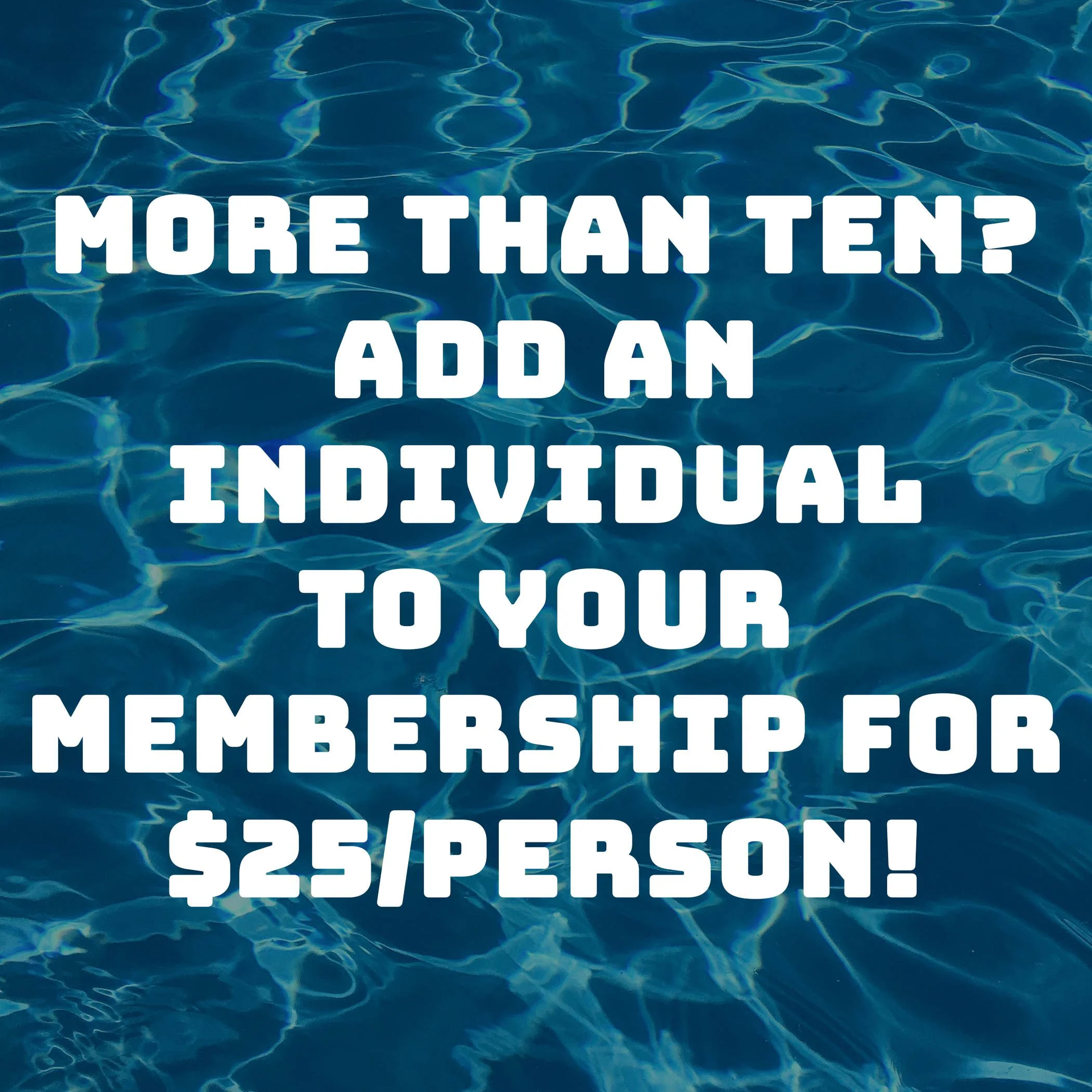 More than 10 Membership Thumbnail.jpg