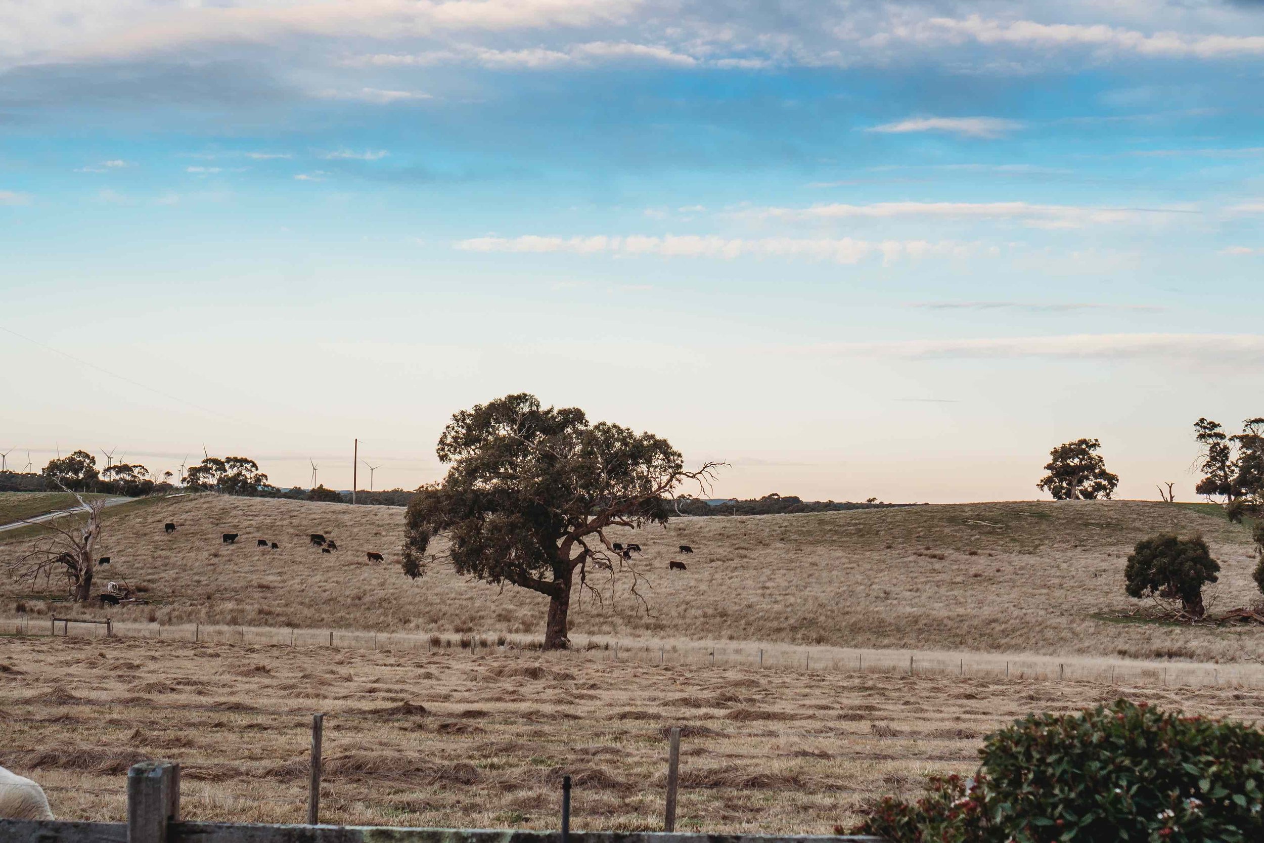Graysons-10.jpg