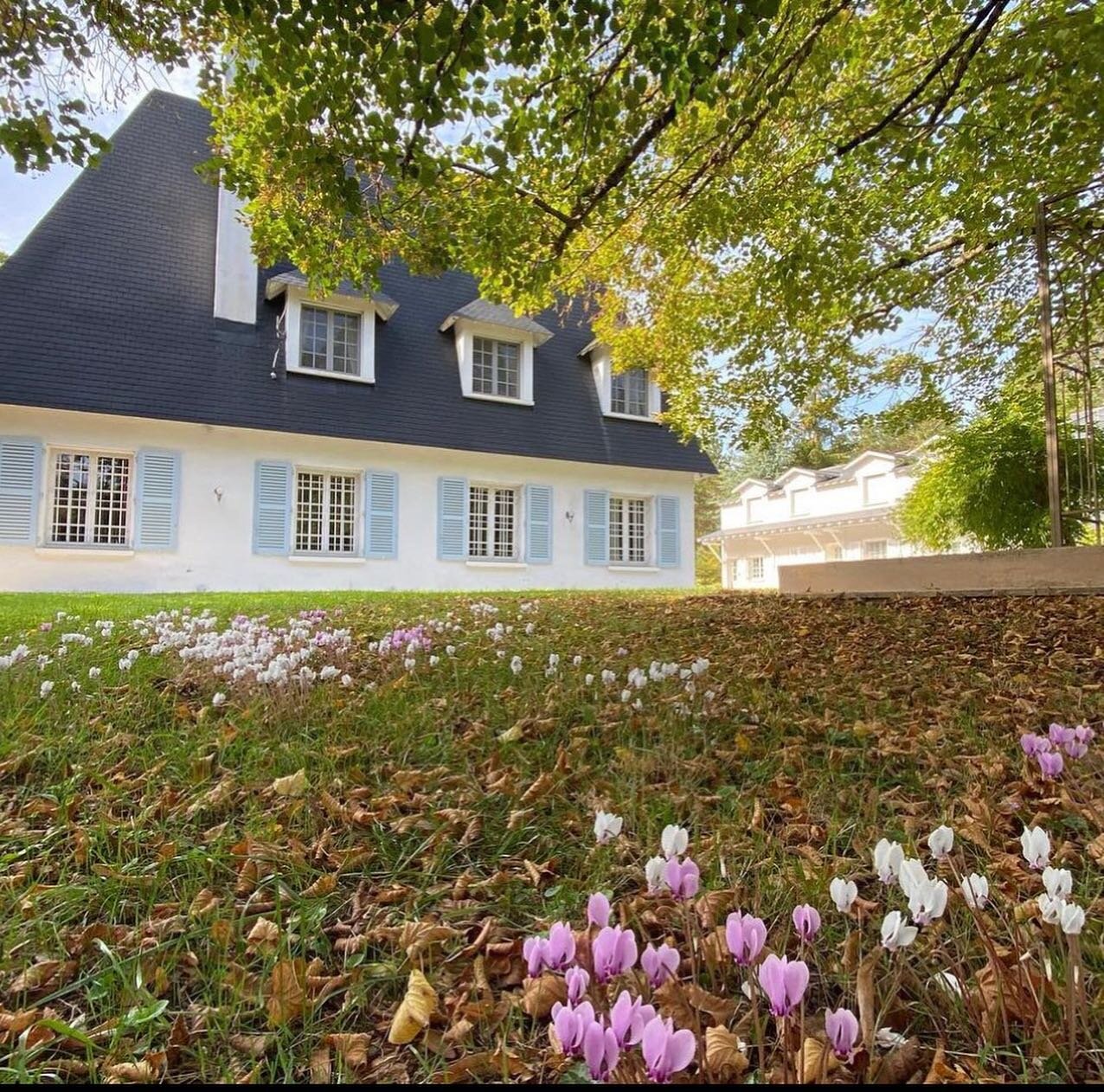 We are currently on a tour of Europe, scoping out luxury group accommodation and getting some great ideas for Graysons Estate. We have just checked out of this gorgeous &quot;manoir&quot;  in France. Like Graysons, it can sleep up to 30 guests and ha