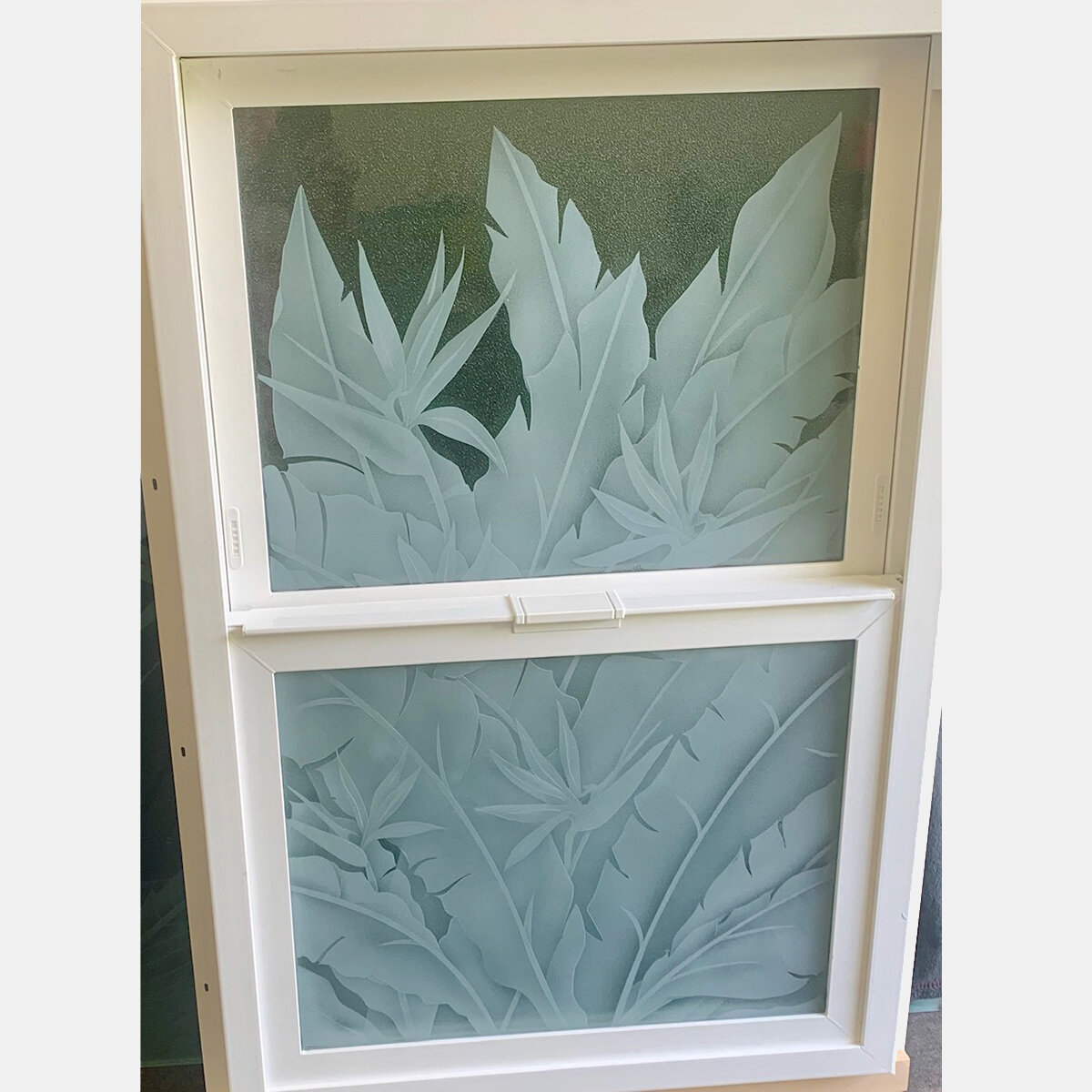 Privacy Glass Window