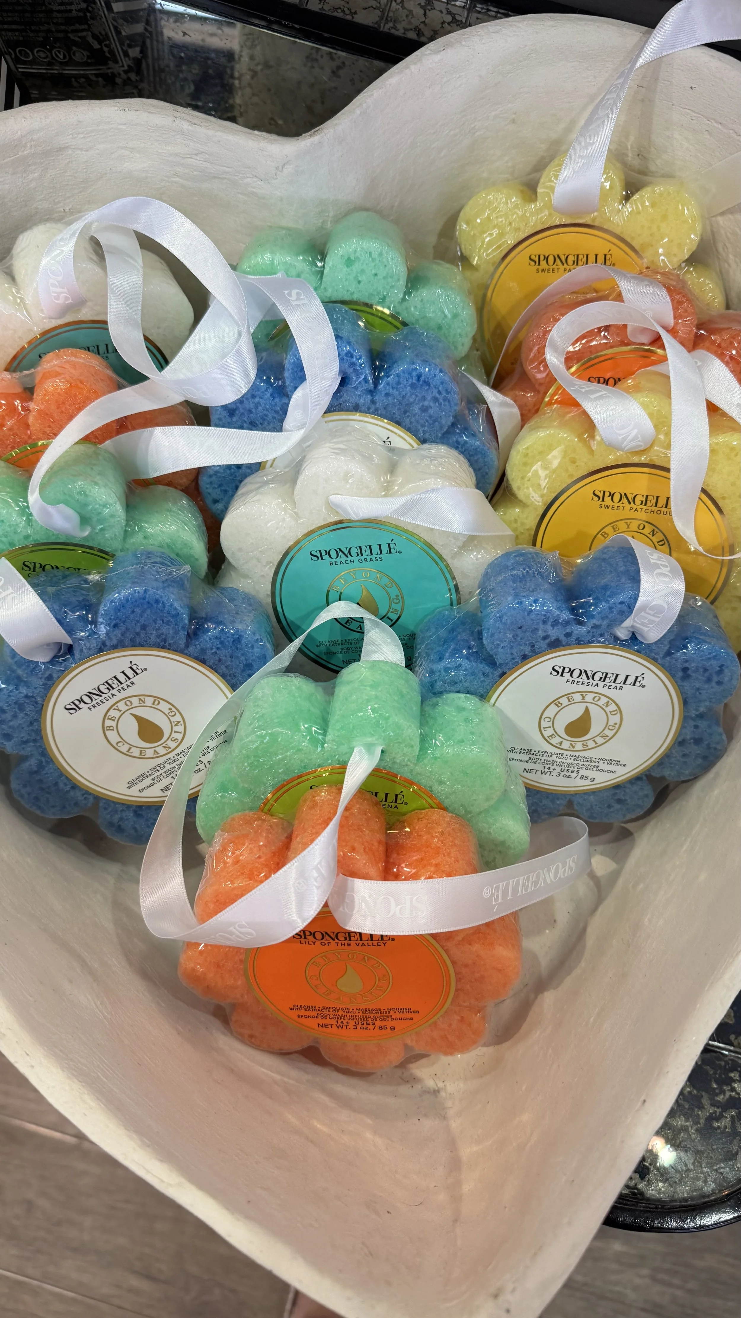 Photo Feb 12 2026, 1 37 32 PM.jpg