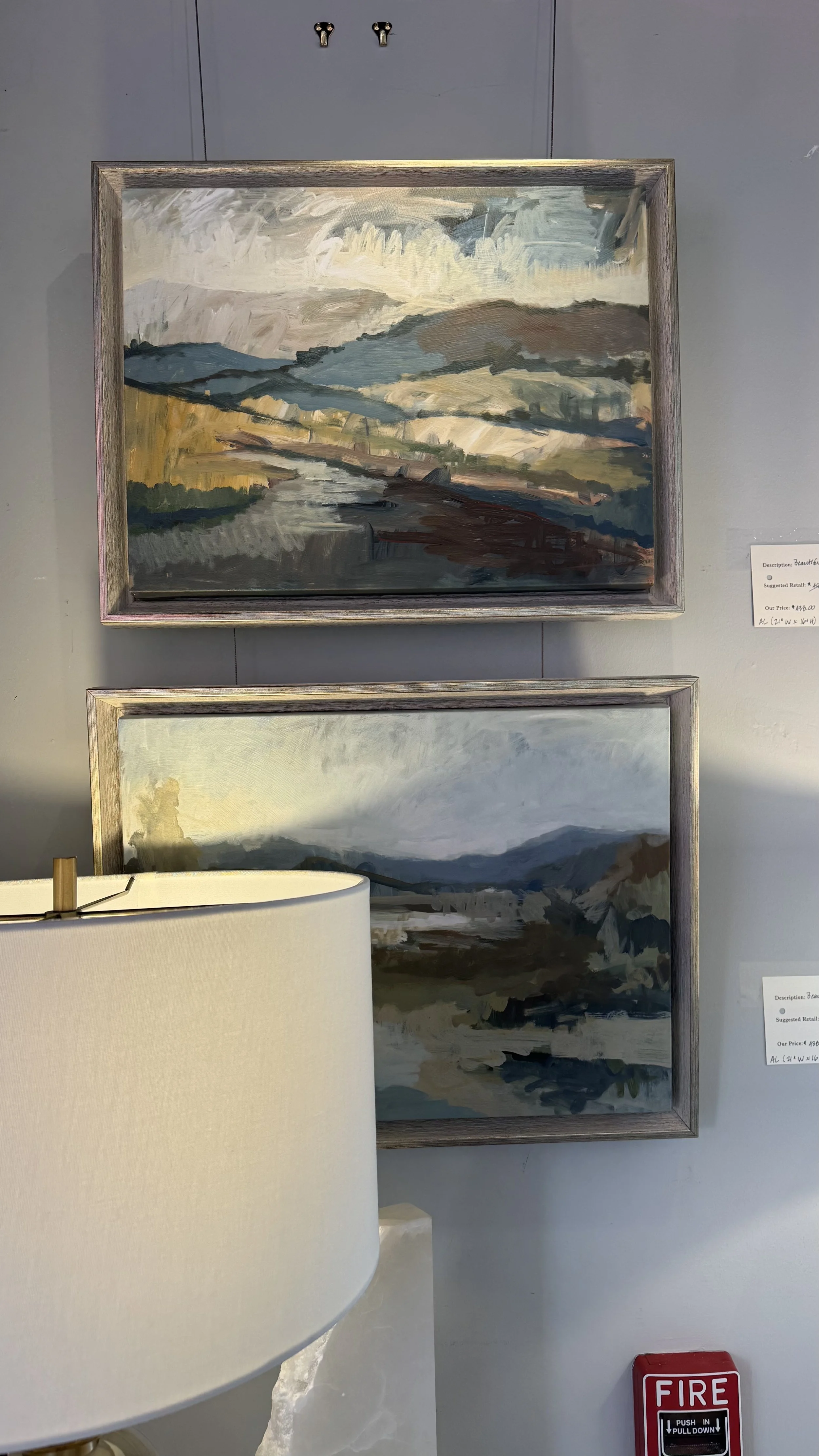 Photo Feb 12 2026, 1 23 17 PM.jpg