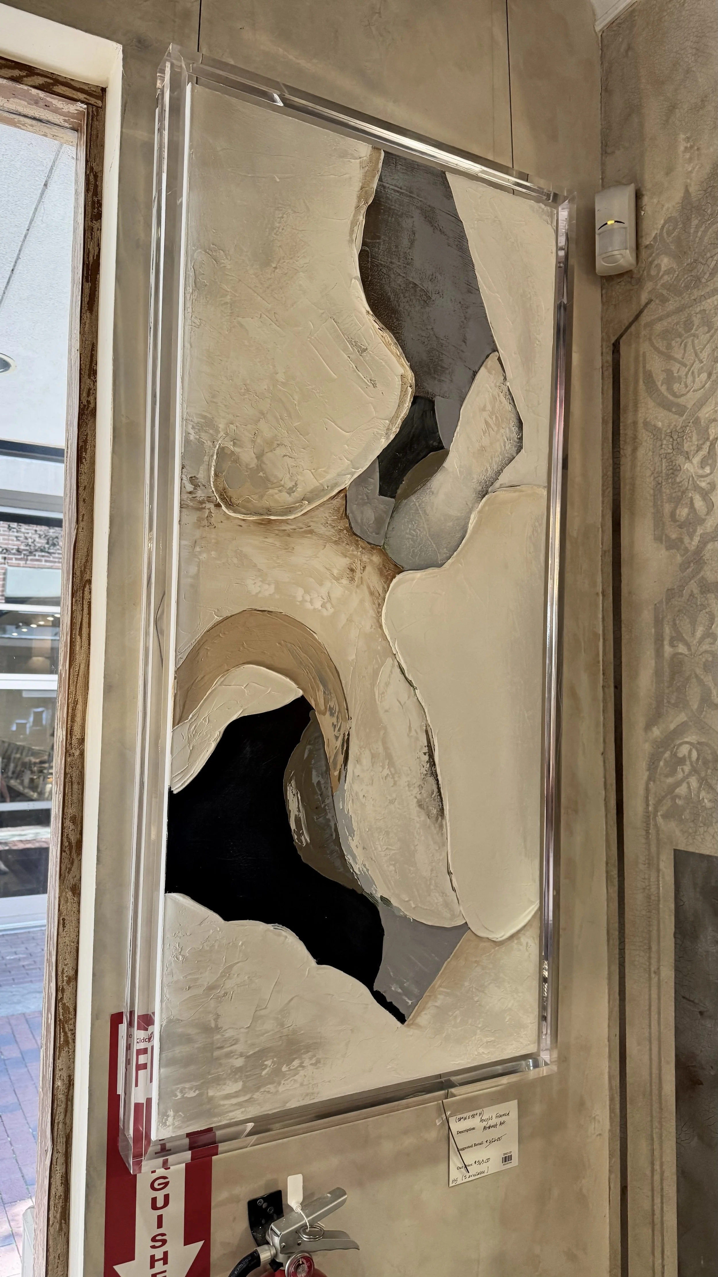 Photo Feb 12 2026, 1 24 20 PM.jpg