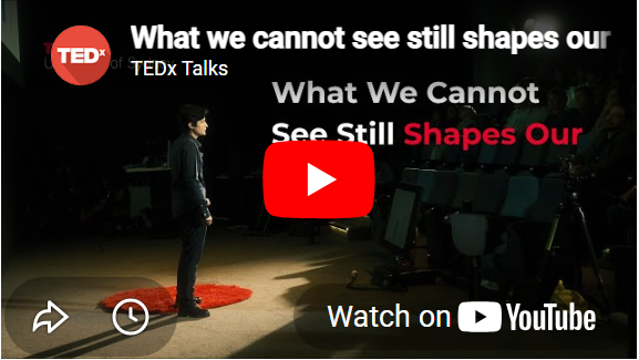 What we cannot see still shapes our lives | Noushin Nasiri | TEDxUniversity of Sydney