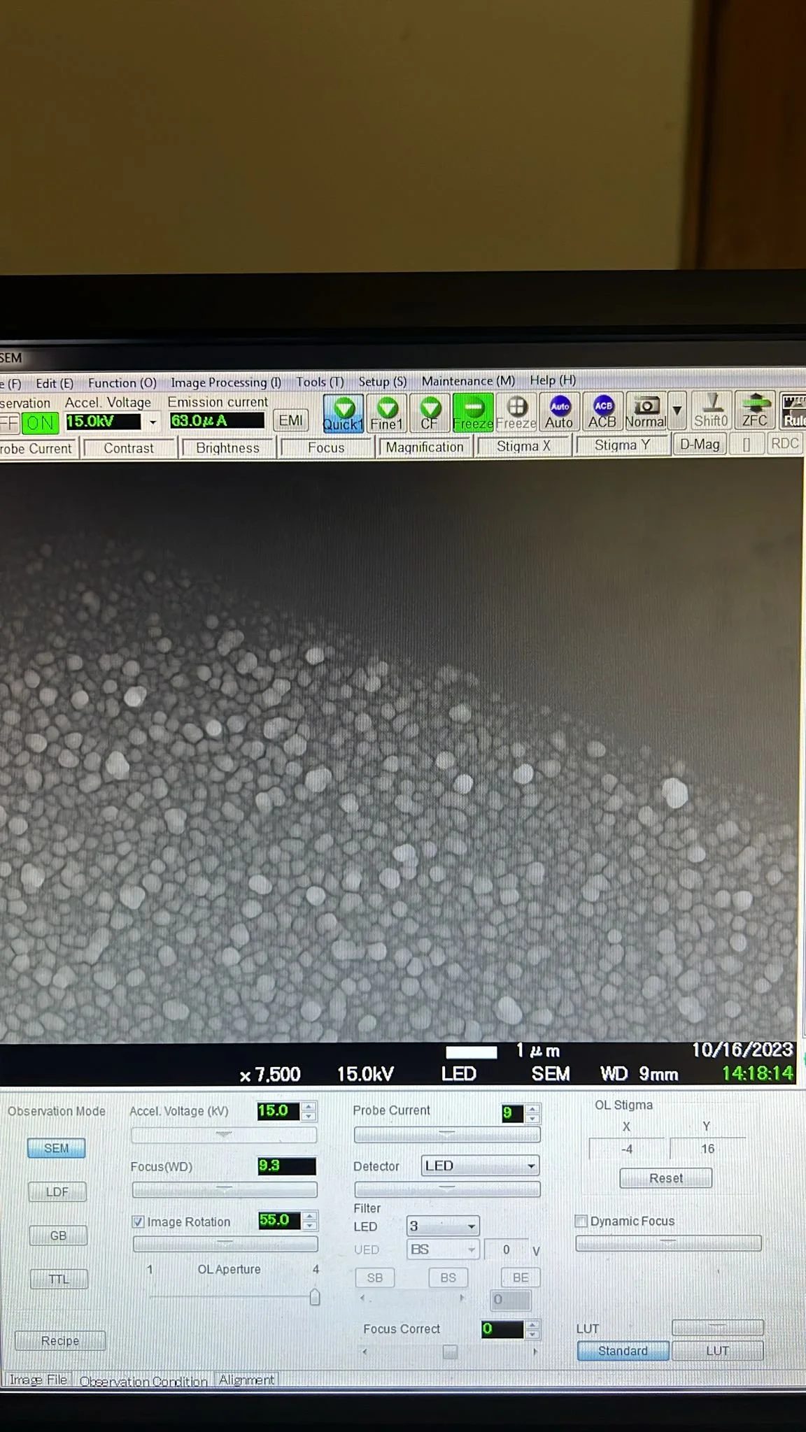 WhatsApp Image 2023-10-16 at 14.19.22_a6c59682.jpg