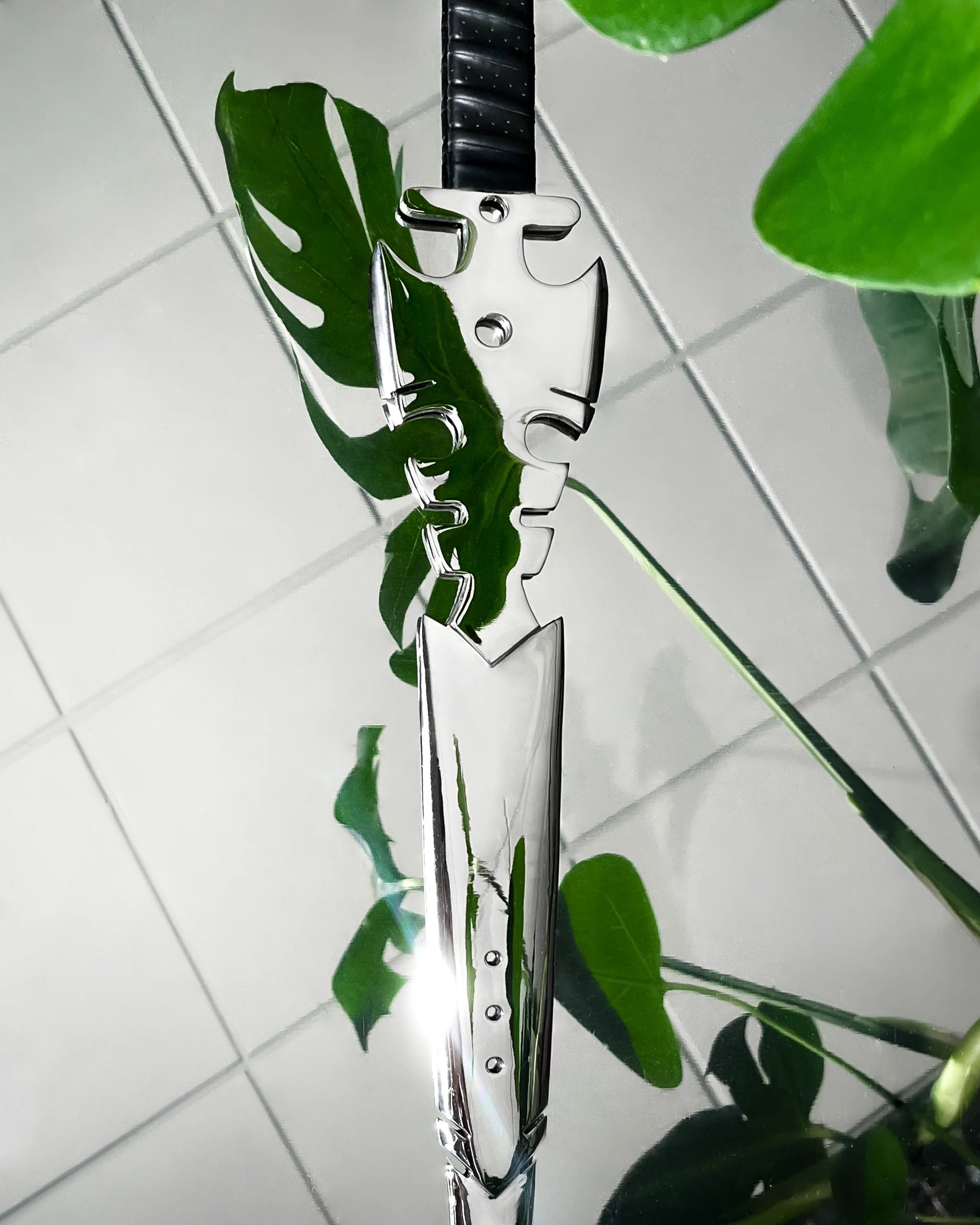 dynasty no branding.jpg