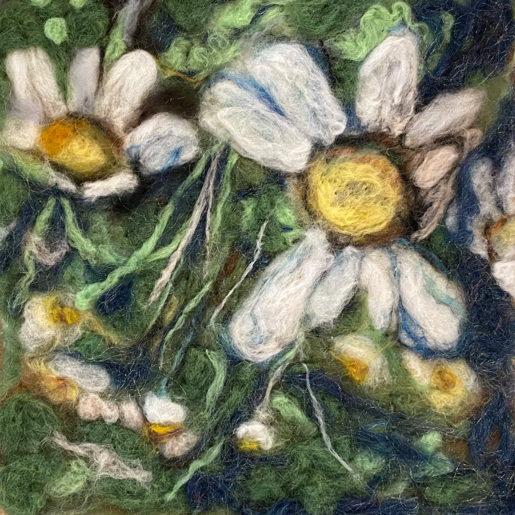 Sally's Daisy's