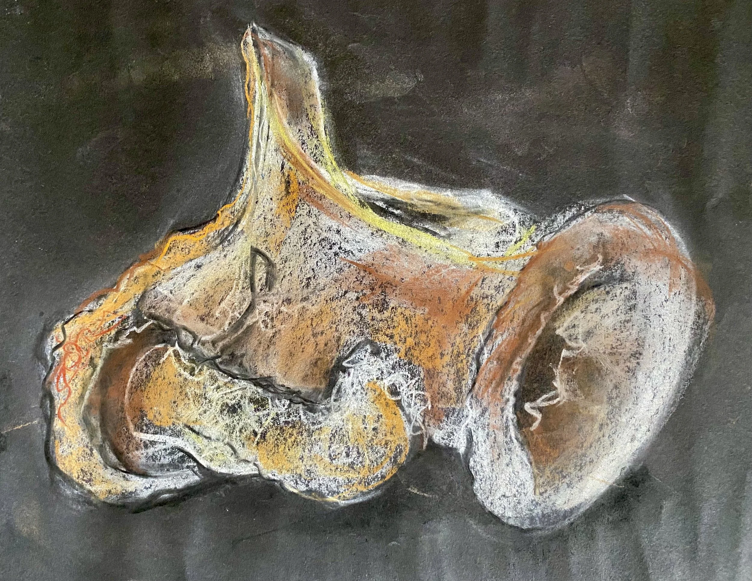 COURSES - ASHMOLEAN MUSEUM, OXFORD