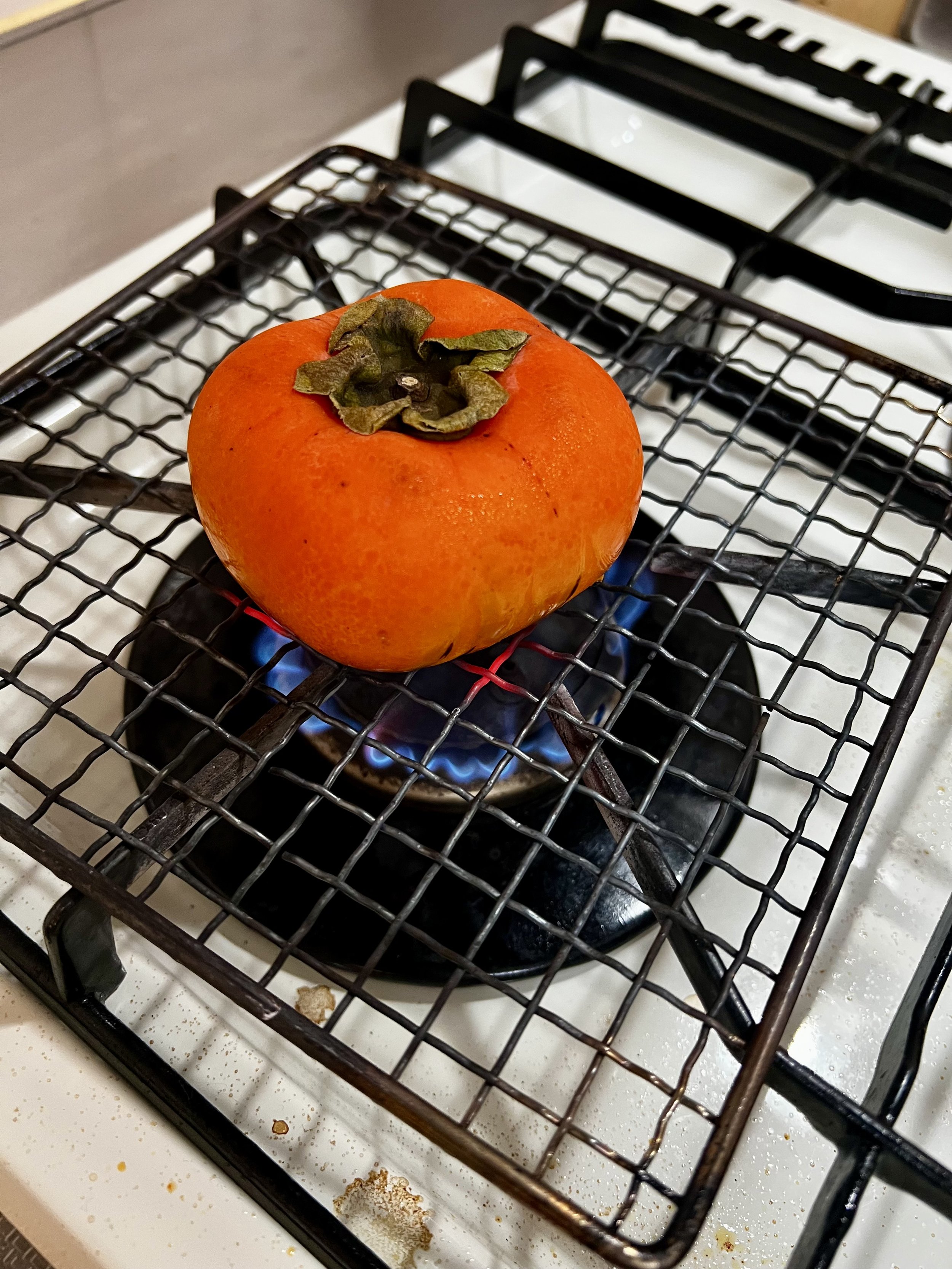 Persimmon Season = My Favorite Kind of Autumn Chaos