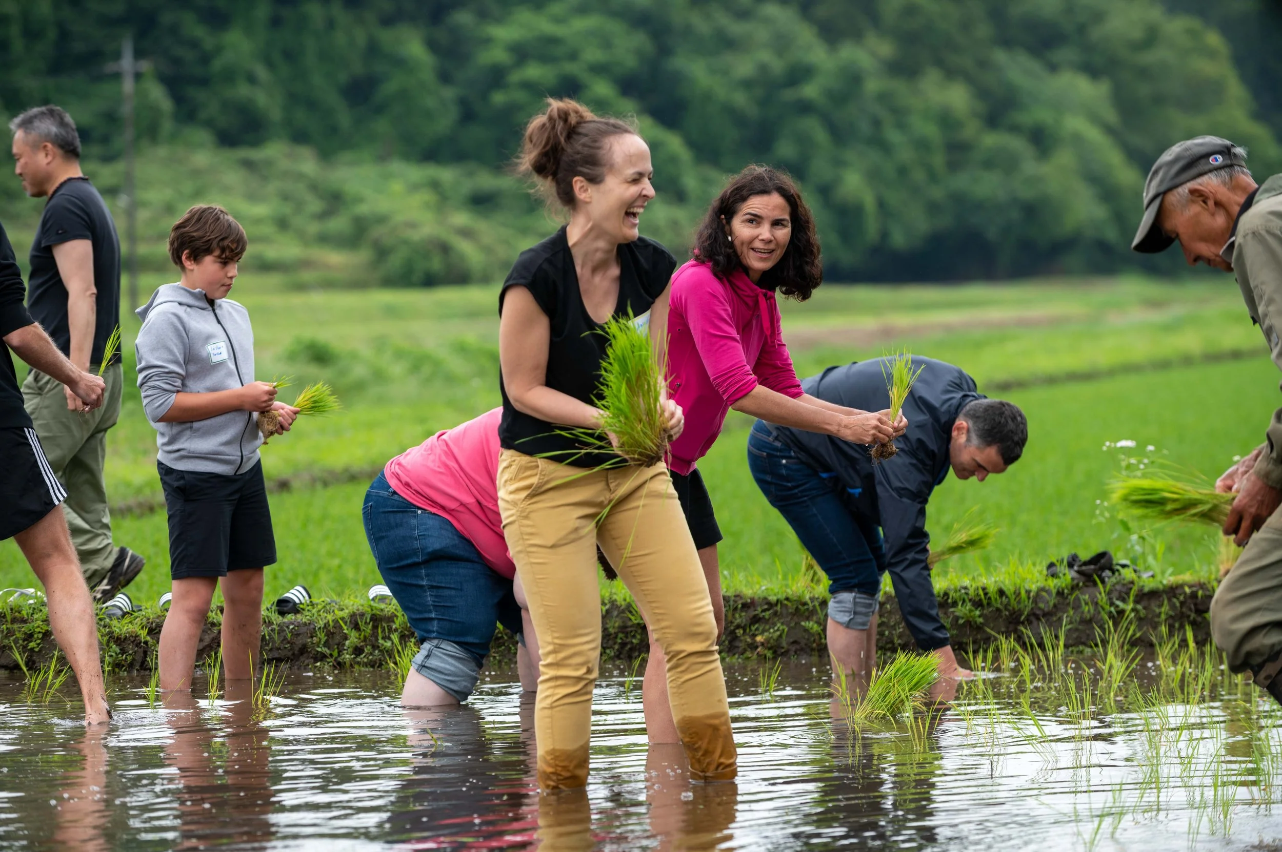 Rice planting of Survival class outing May2023 — Mayuko's Little ...