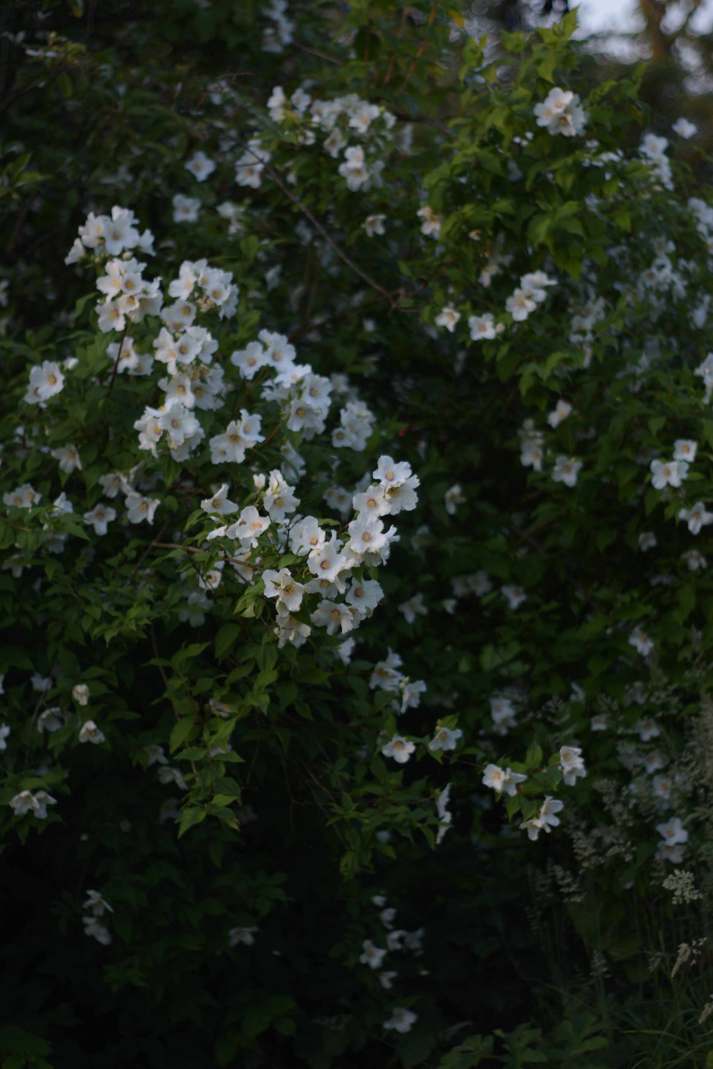garden inspired flower design