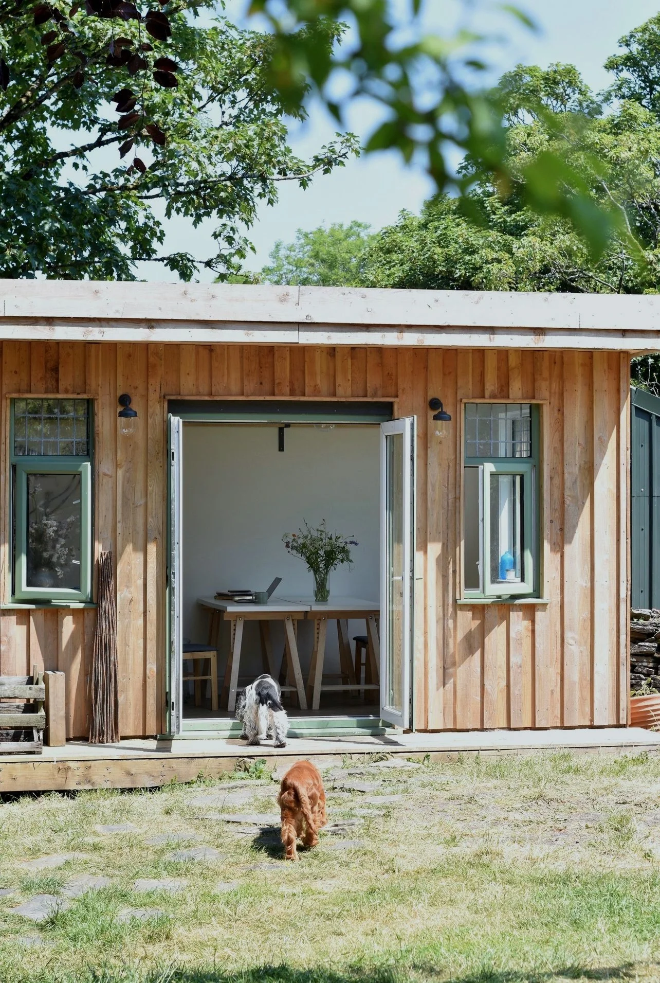 Workshop in garden with two cocker spaniels