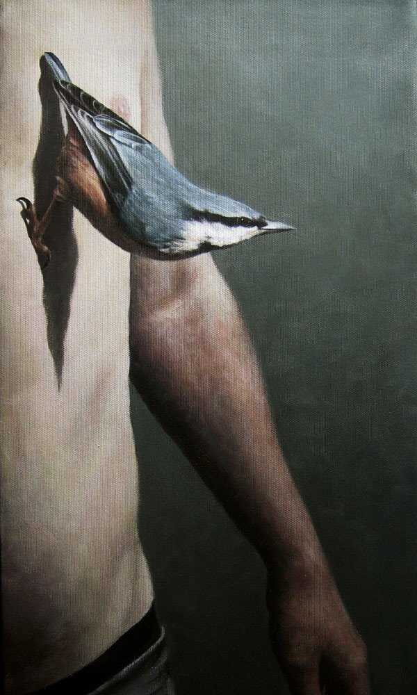 Nuthatch_by_trulsespedal.jpg