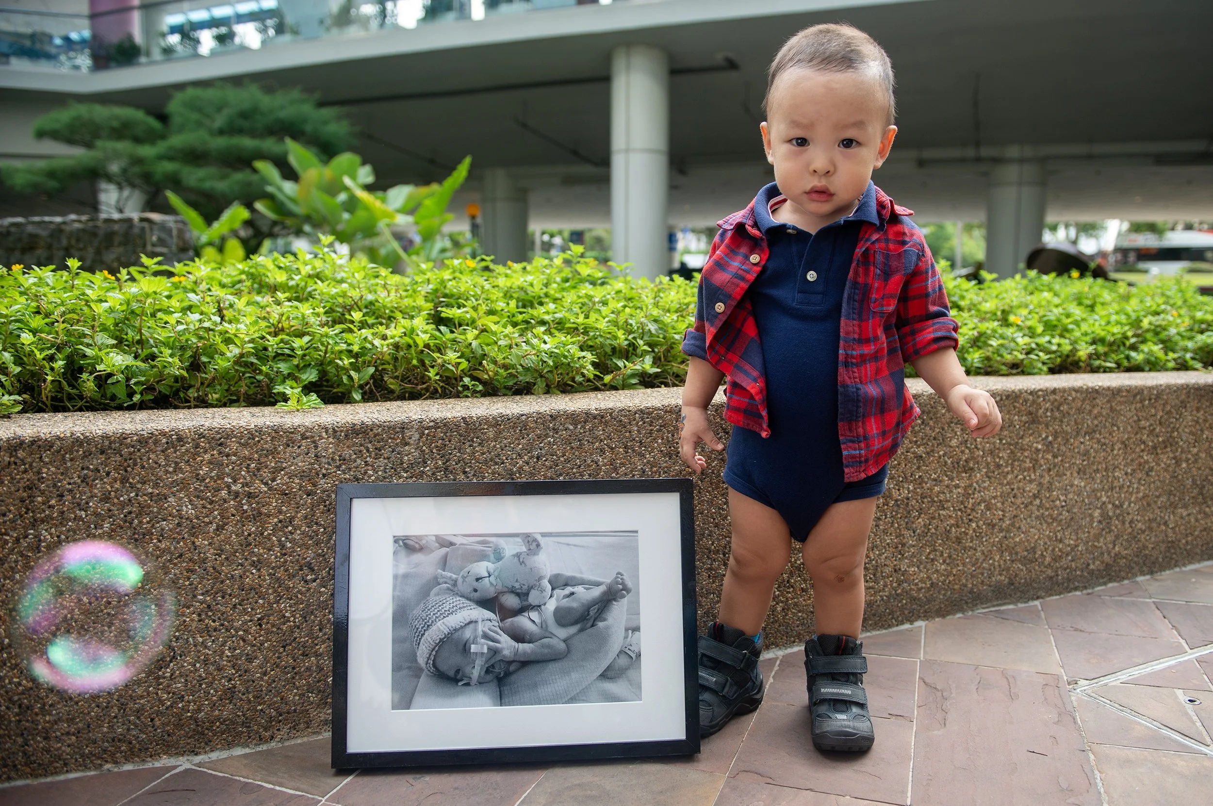 _CCS8535.jpg
