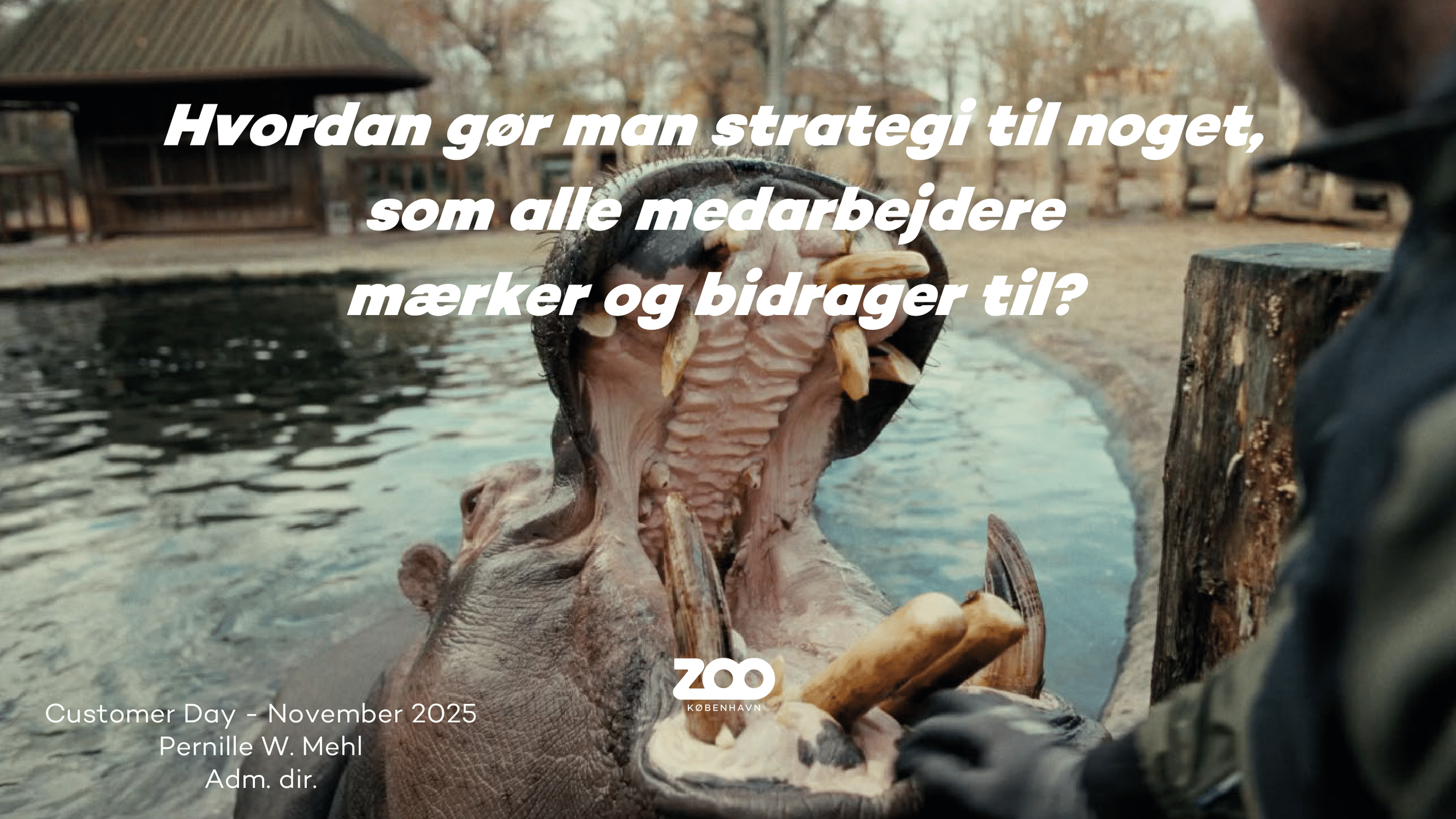 Zoologisk Have - Pernille Mehl-01.png