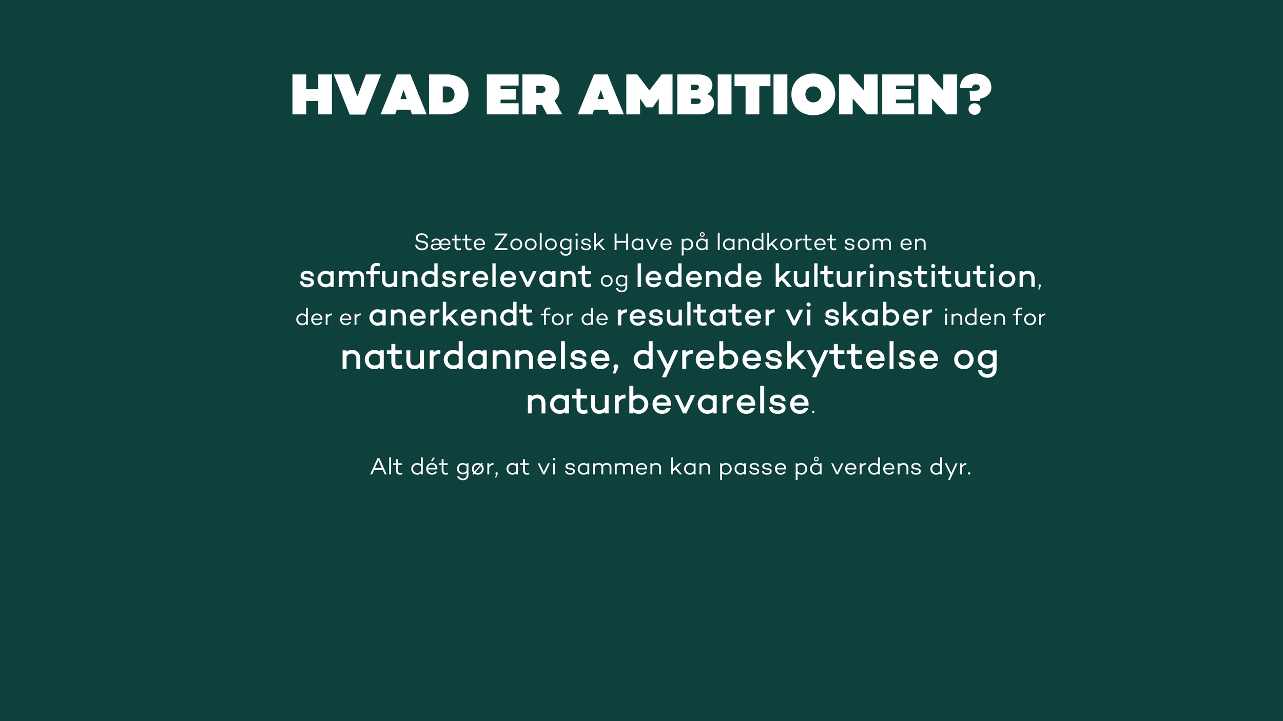 Zoologisk Have - Pernille Mehl-04.png