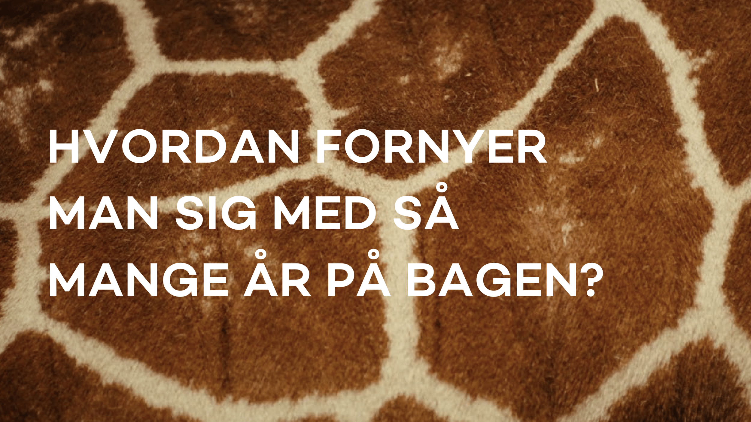 Zoologisk Have - Pernille Mehl-07.png