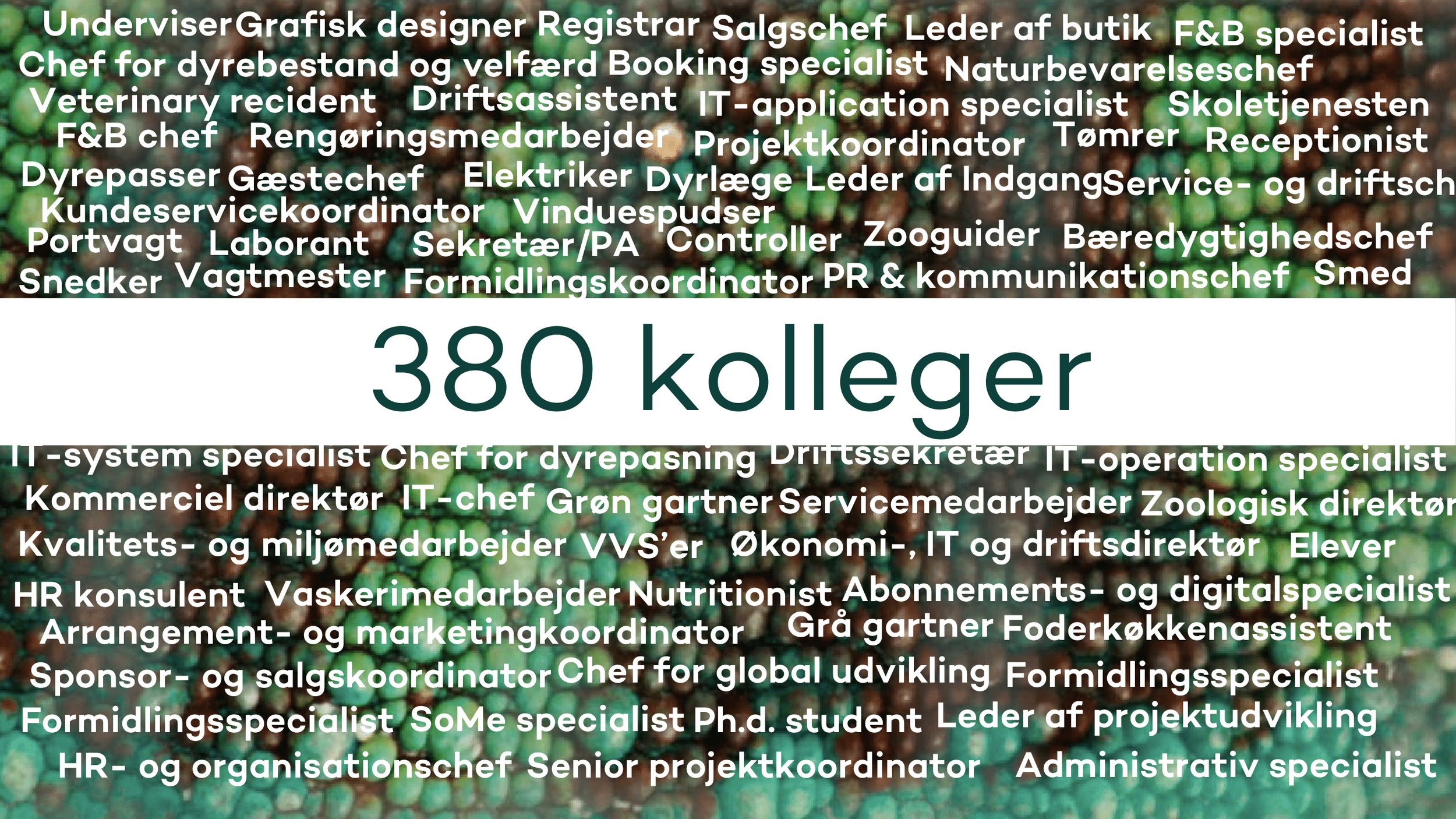 Zoologisk Have - Pernille Mehl-08.png