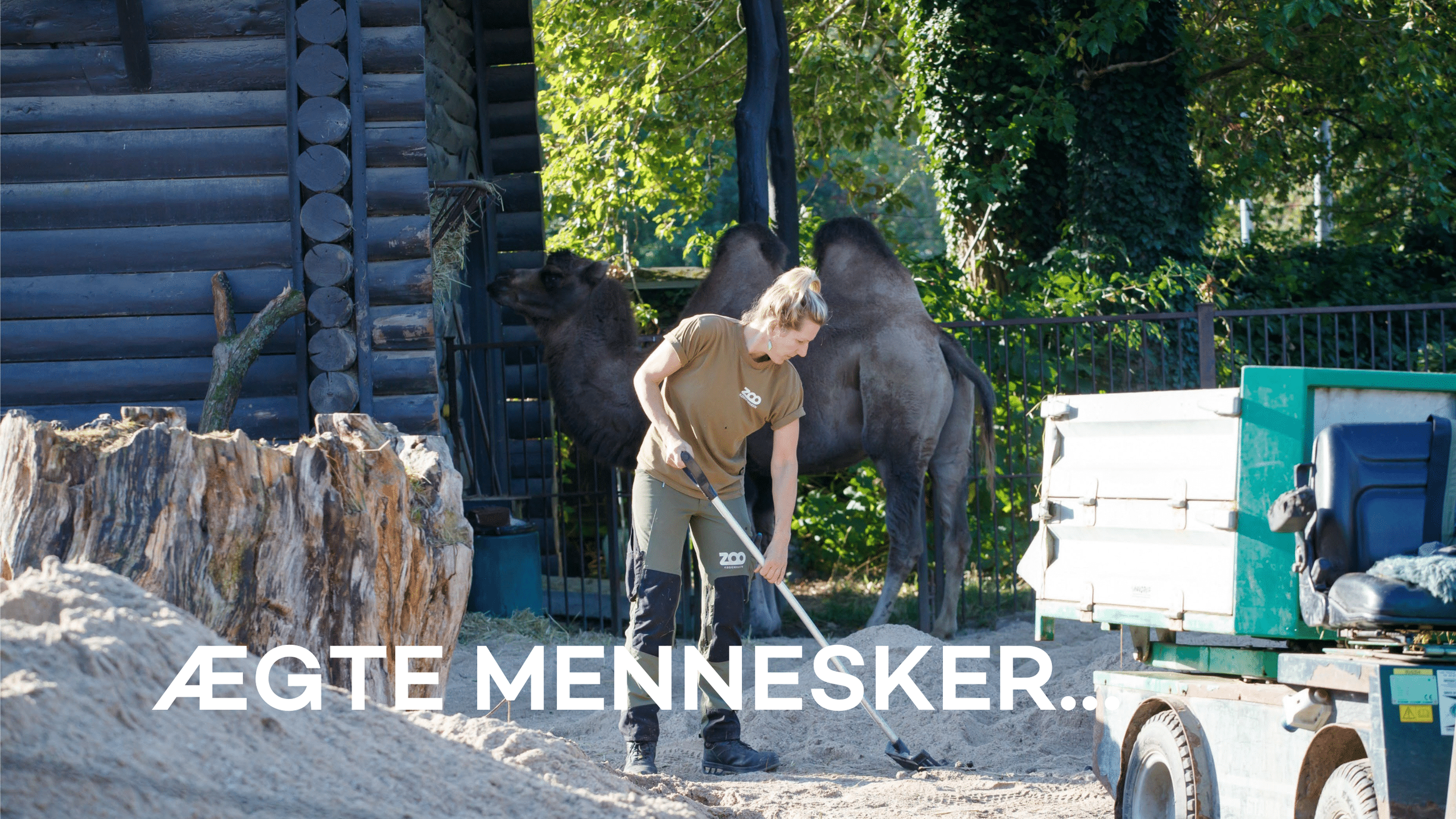 Zoologisk Have - Pernille Mehl-10.png