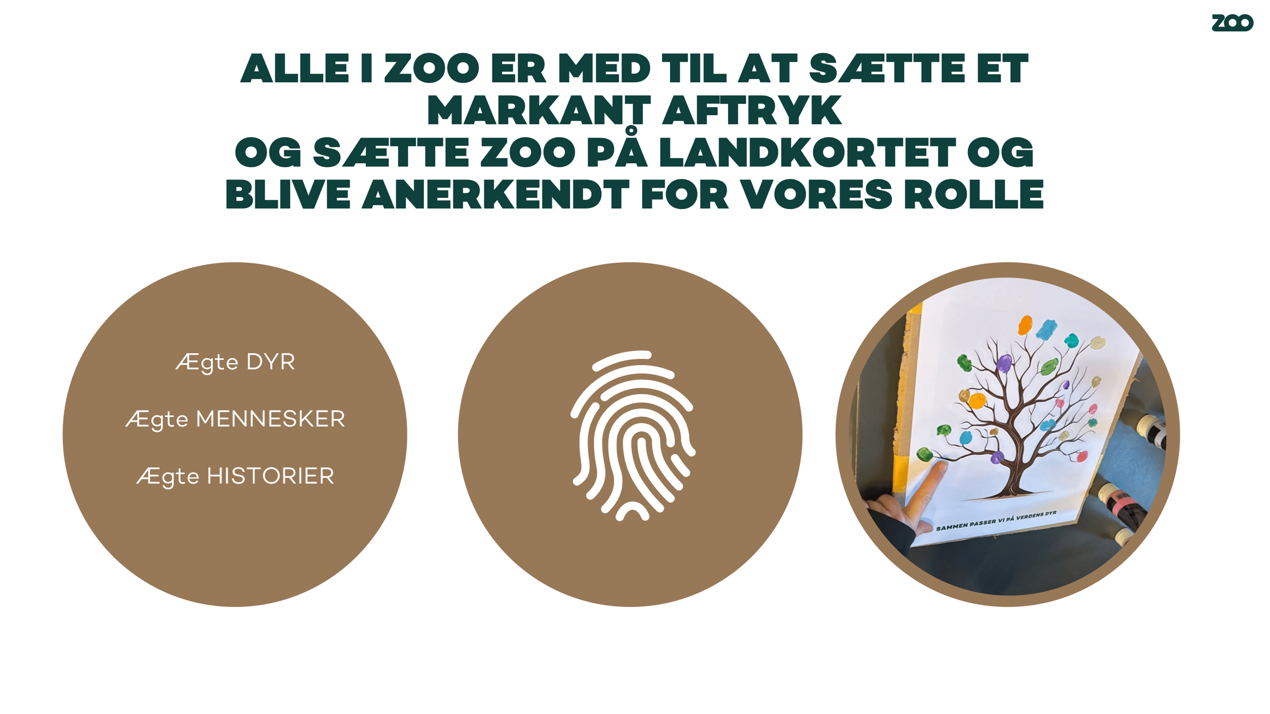 Zoologisk Have - Pernille Mehl-15.png