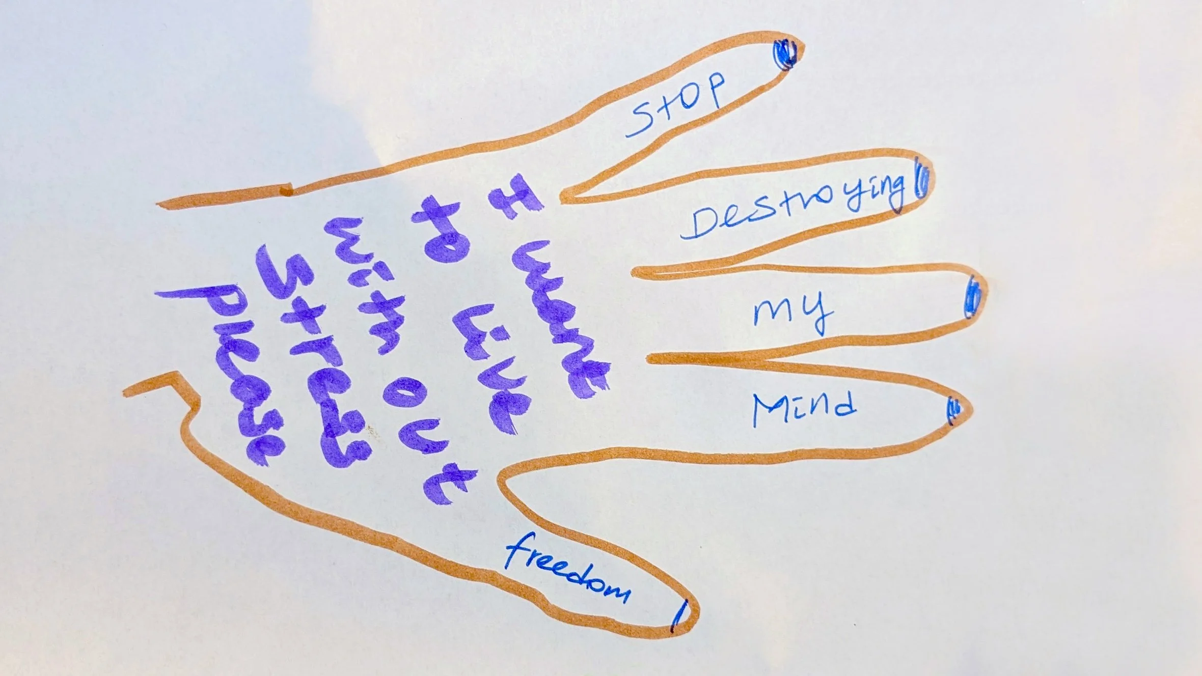 An outline of a hand drawn in pen. Inside the hand are the words: Stop destroying my mind. Freedom. I want to live without stress please.