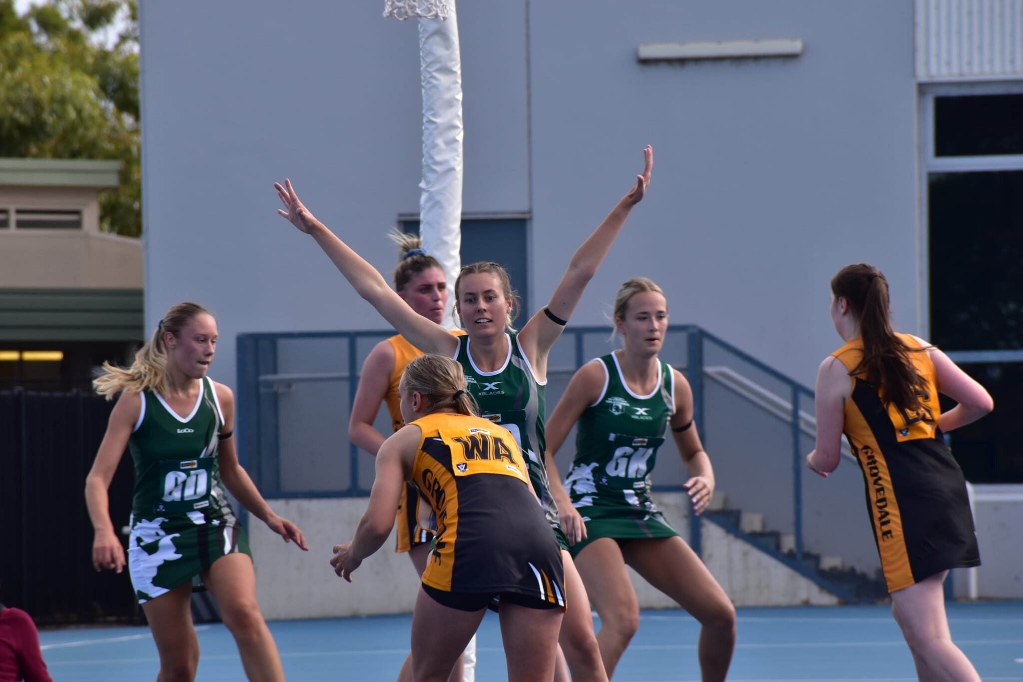 netball3.jpeg