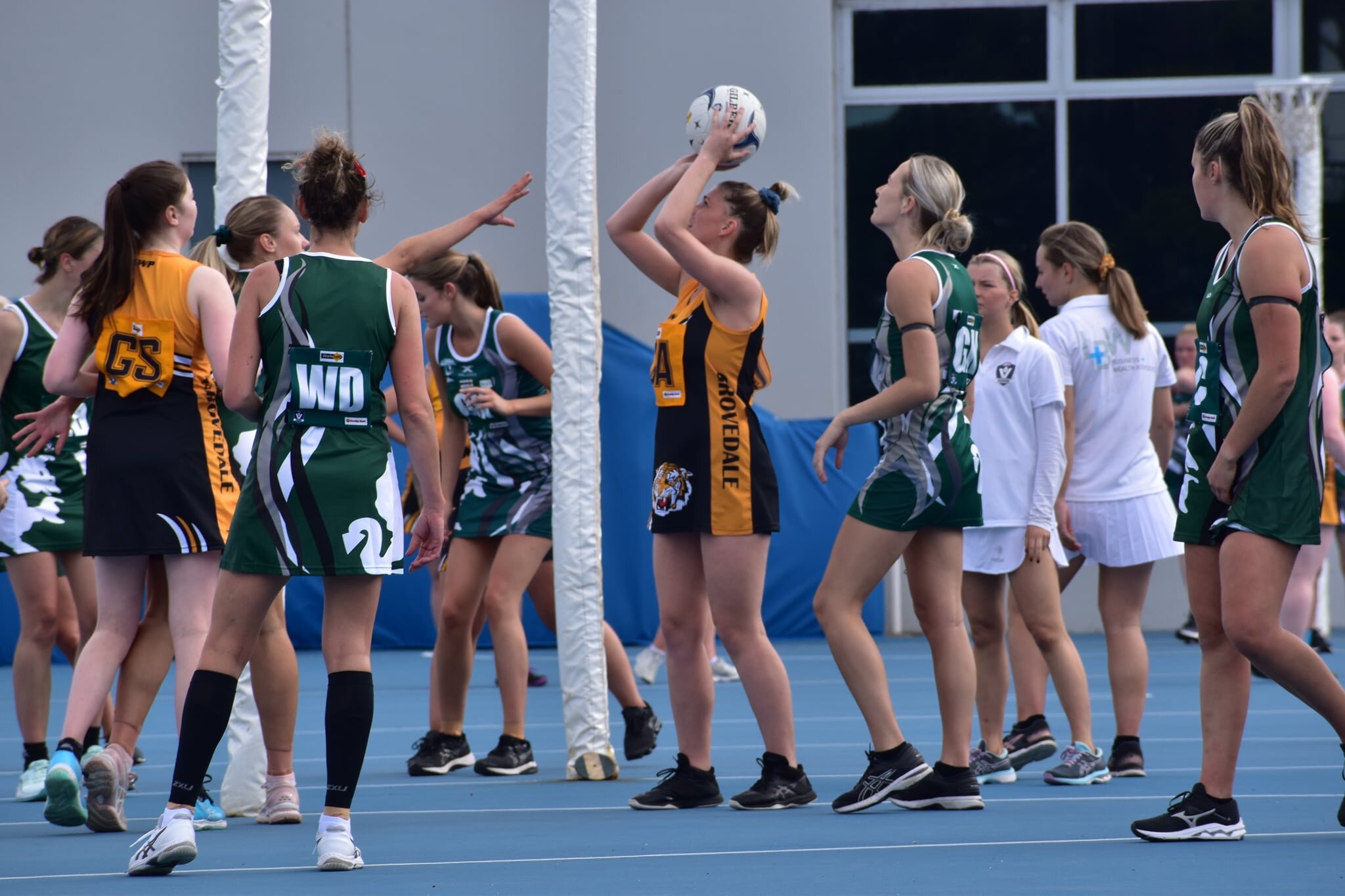 netball1.jpeg