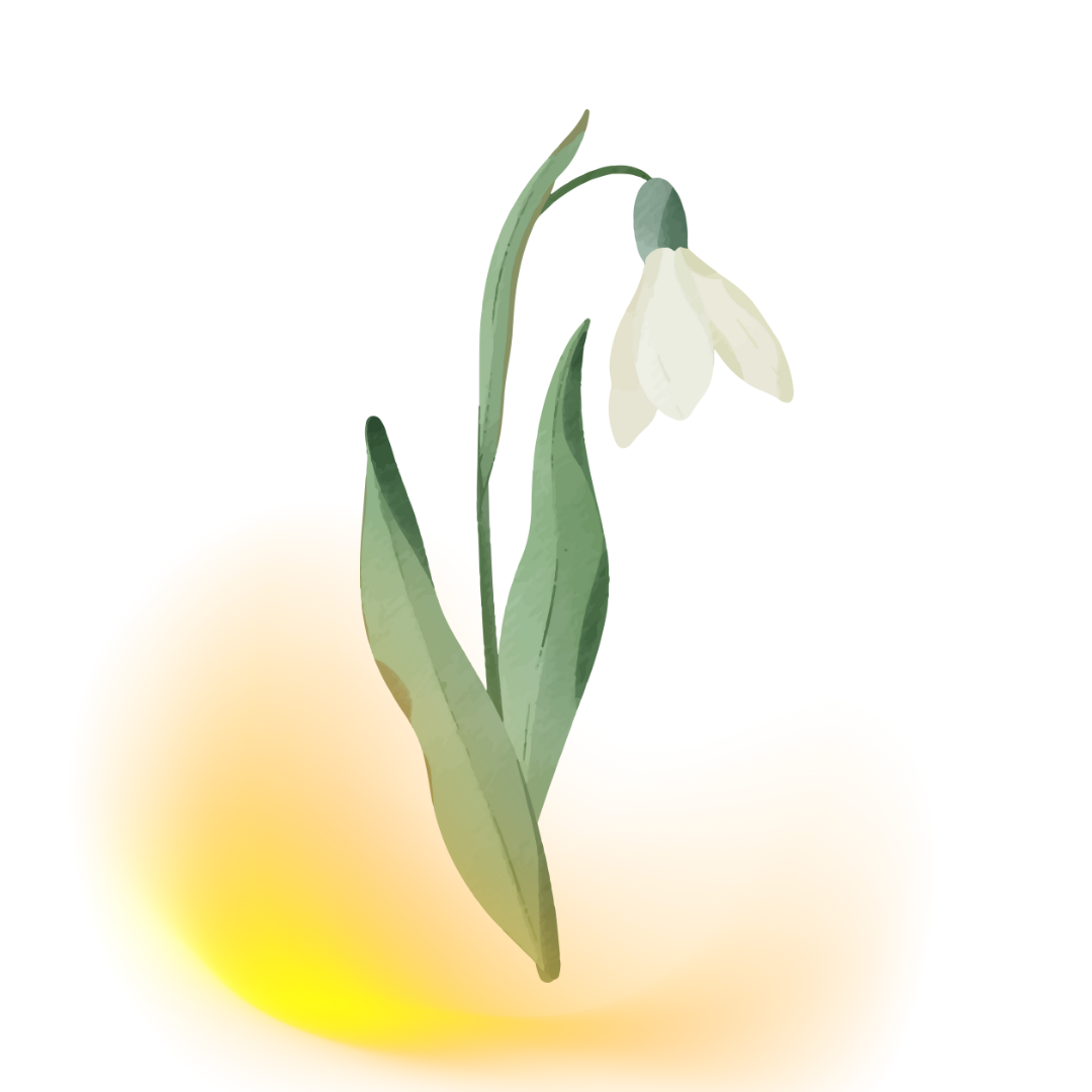 Imbolg REiki and Movement