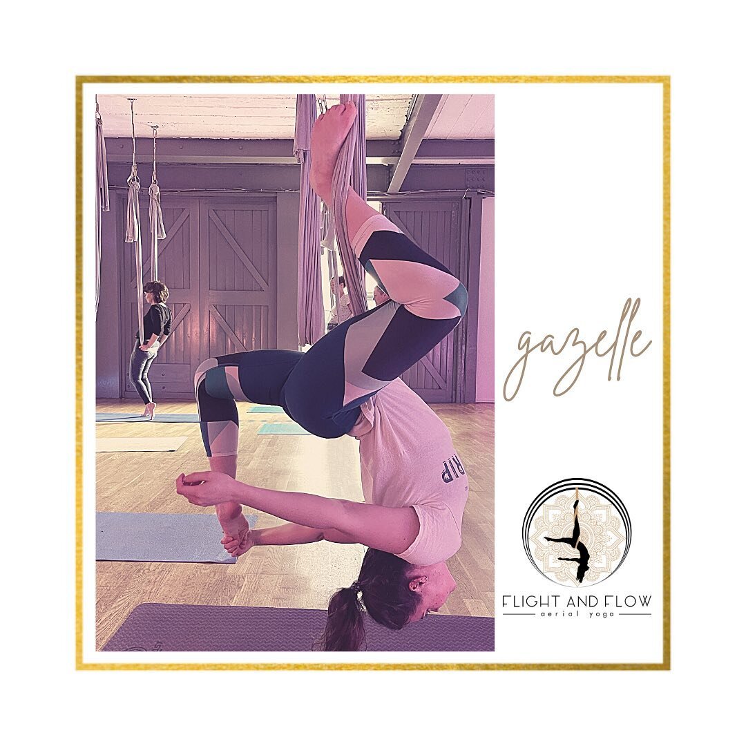 Eddie&rsquo;s first class and she pulls off a Gazelle! Amazing! Come fly with us!

#AerialYoga&nbsp;#AerialYogaTeacher&nbsp;#AerialYogaBrighton&nbsp;#Wellness&nbsp;#BackPain
#Sciatica&nbsp;#Yoga&nbsp;#YogaBrighton
&nbsp;#Brighton#Flow&nbsp;#YogaClass