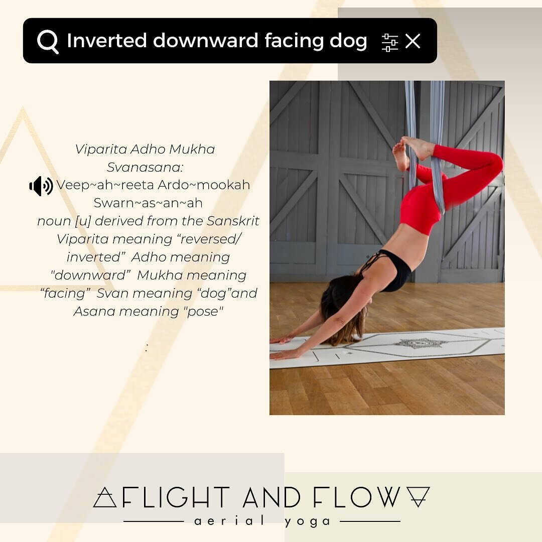 Inverted Downward Facing Dog. Do you find in your usual yoga practice that Downward Facing Dog is difficult due to tight hamstrings? Not being able to straighten the legs and get the heels on the mat often means that you don&rsquo;t feel the full ben