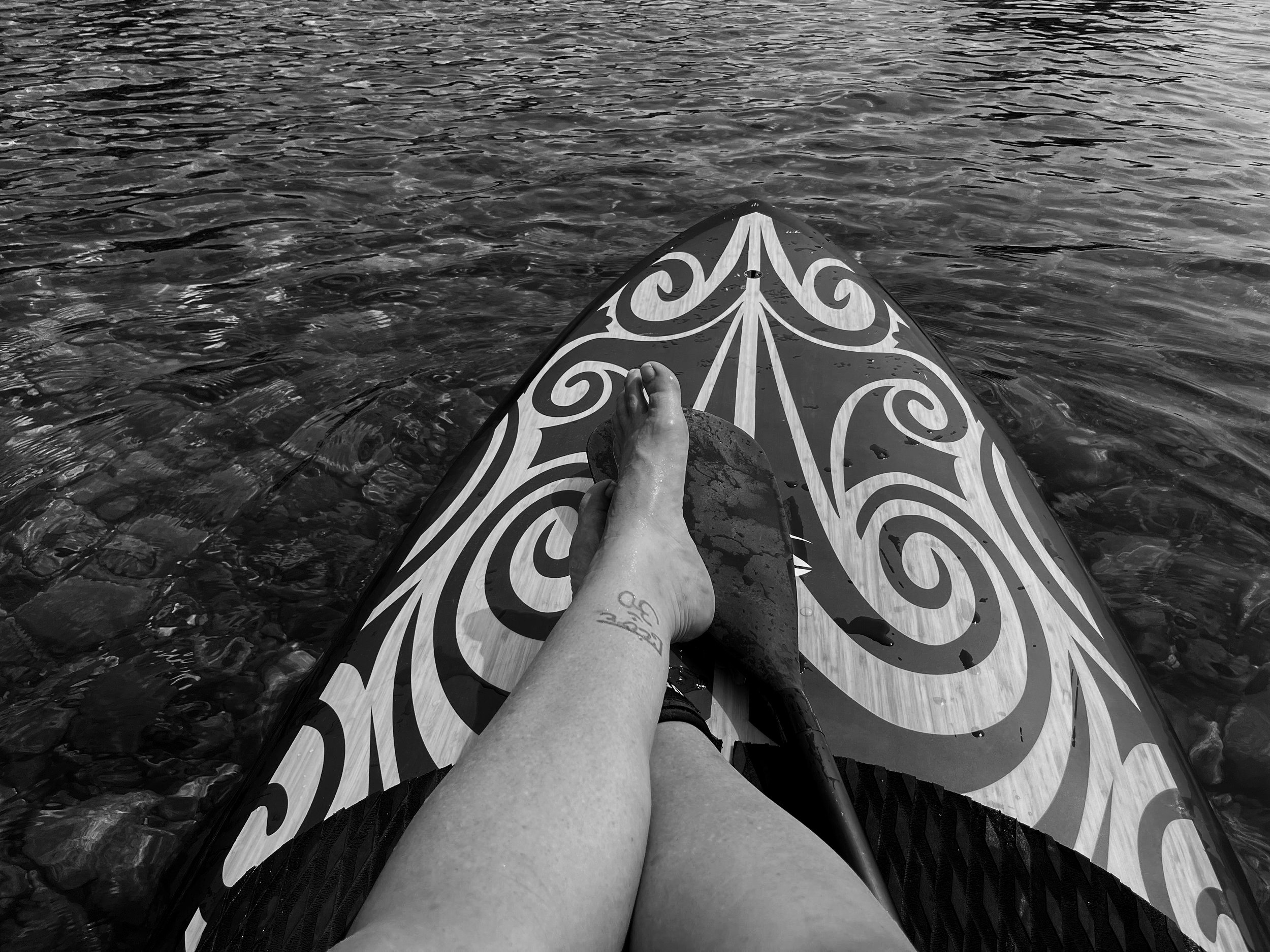 View from a paddleboard on calm water, representing creativity, perspective, and the power of changing your environment.