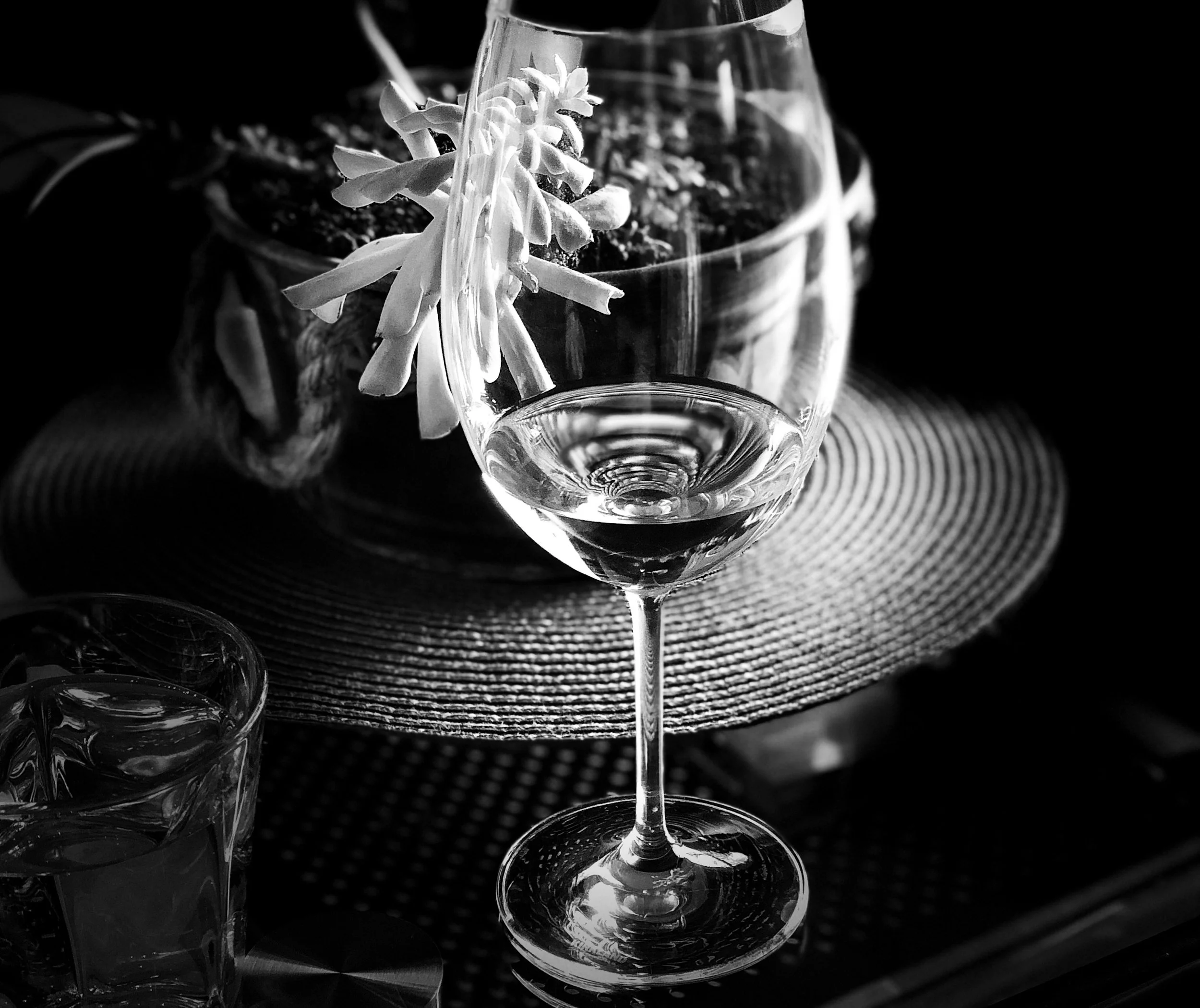 Glass of red wine beside succulents, symbolizing intentional living, reflection, and choosing purpose over distraction.