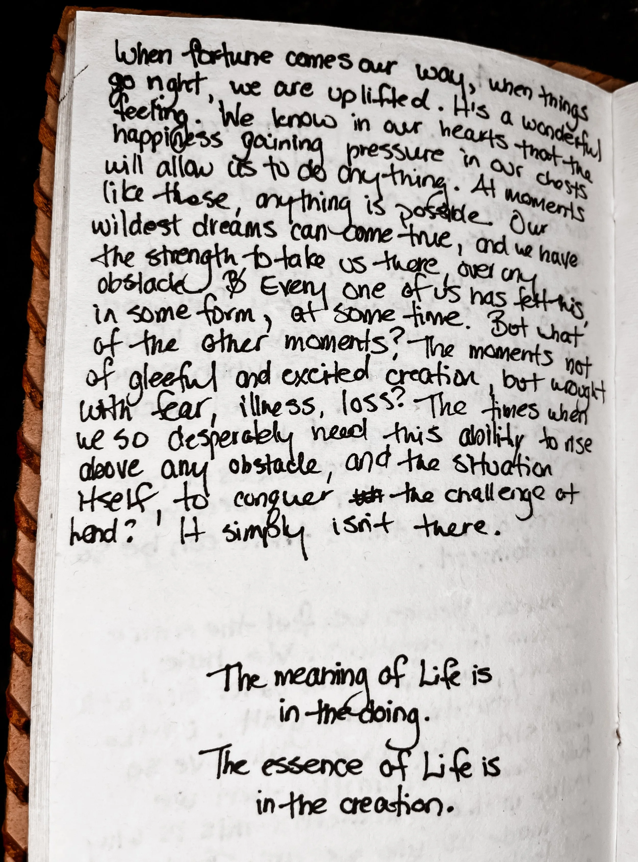 Handwritten journal page from Melissa Lynn Sharp's 2009 journals discussing the meaning of life.