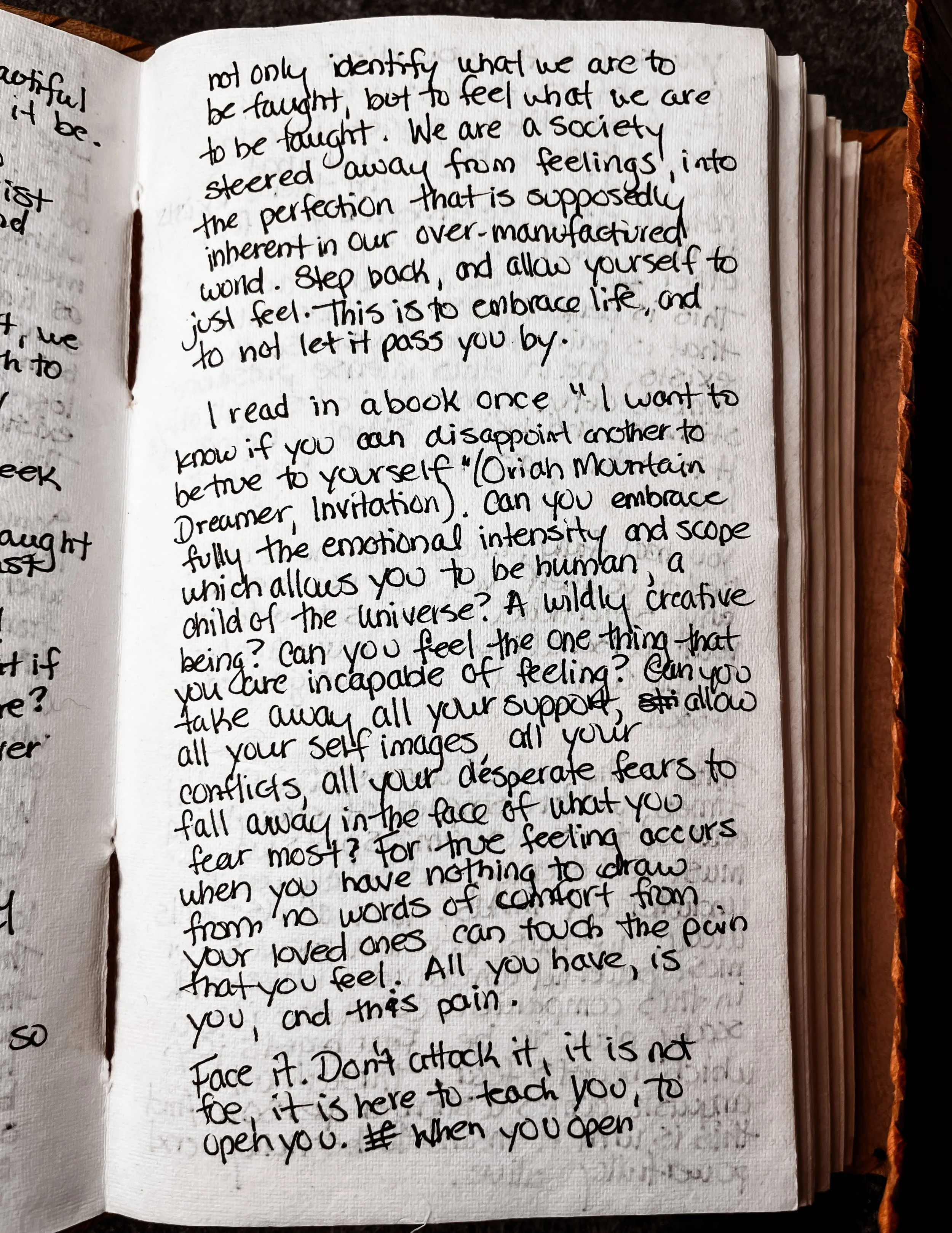 Handwritten journal page from Melissa Lynn Sharp's 2010 journals discussing the full scope of human emotional intensity.